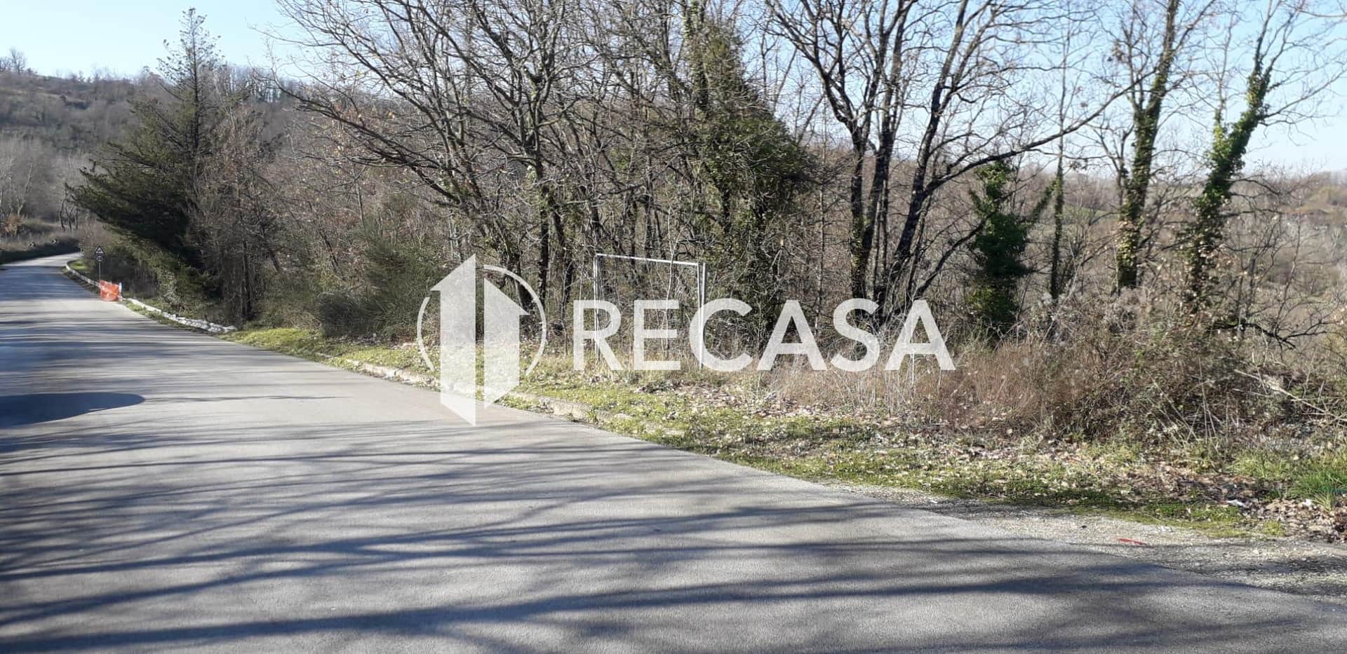 Vendita Terreno Agricolo Candida (Av) - Foto 1