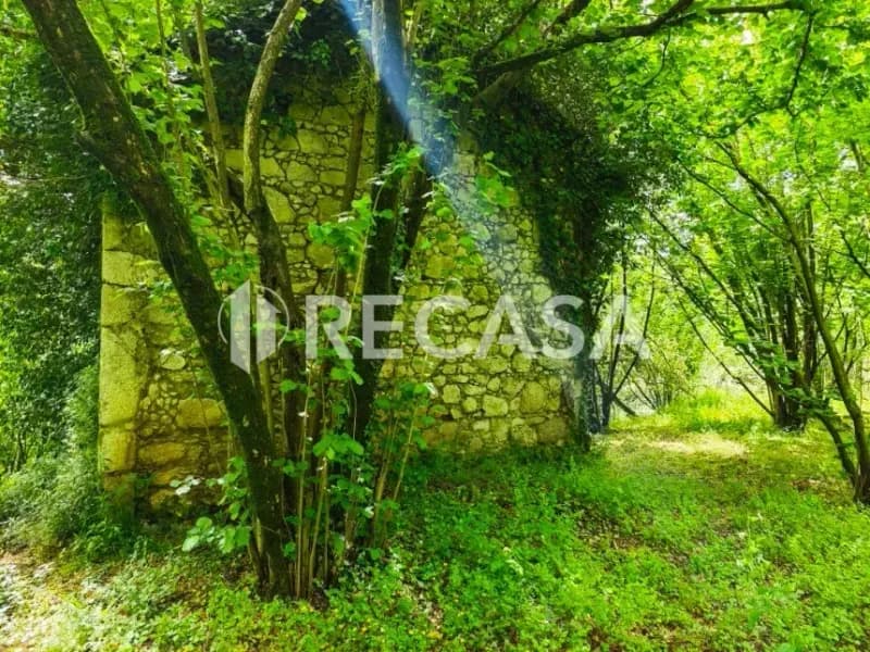 Terreno agricolo
