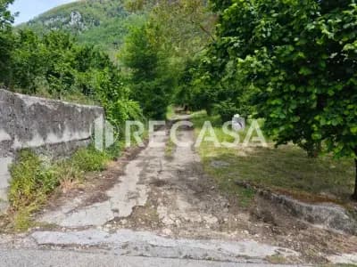 Terreno agricolo