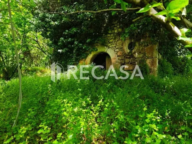 Terreno agricolo