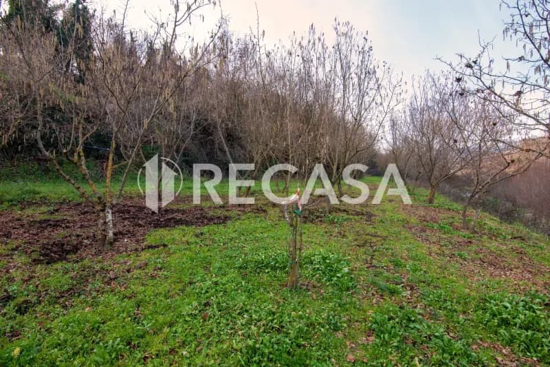 Fabbricato plurifamiliare con terreno