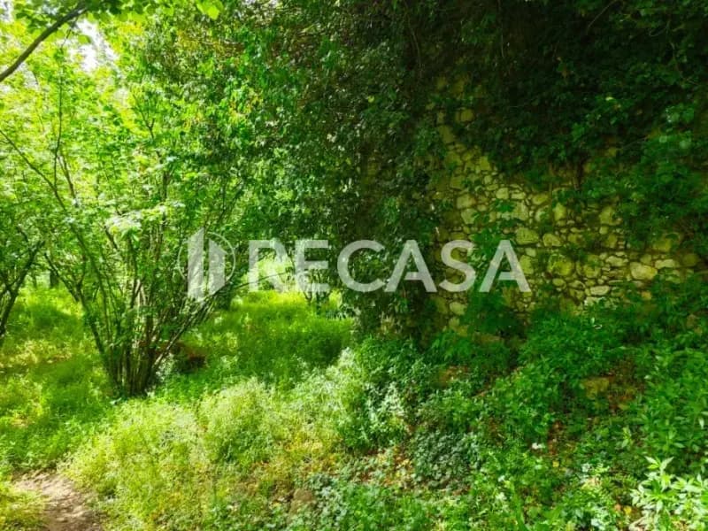 Terreno agricolo