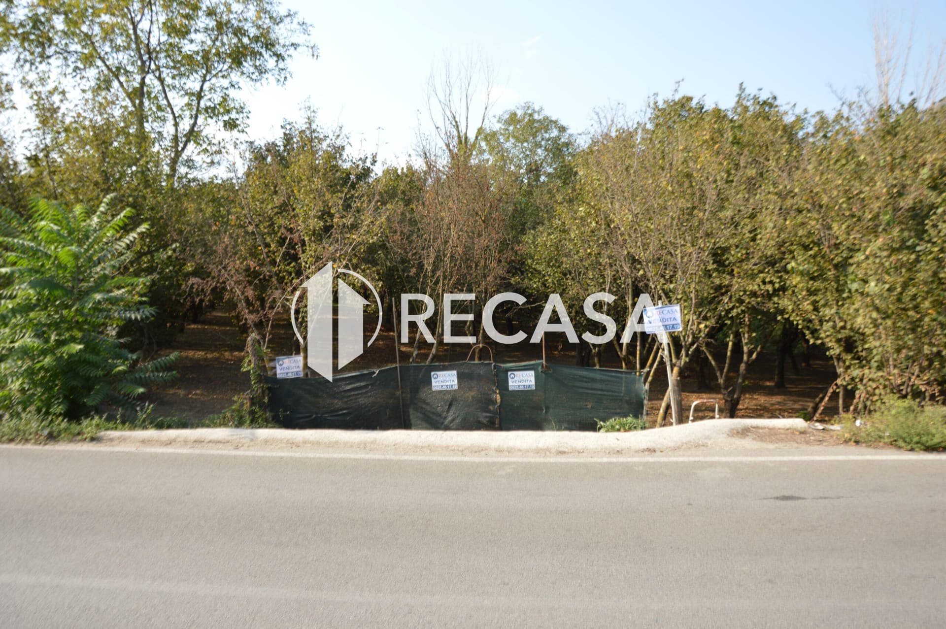 Terreno agricolo Santa Lucia di Serino - Foto 3