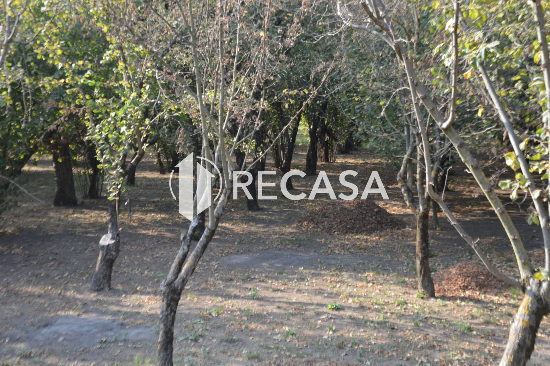 Terreno agricolo Santa Lucia di Serino - Foto 8