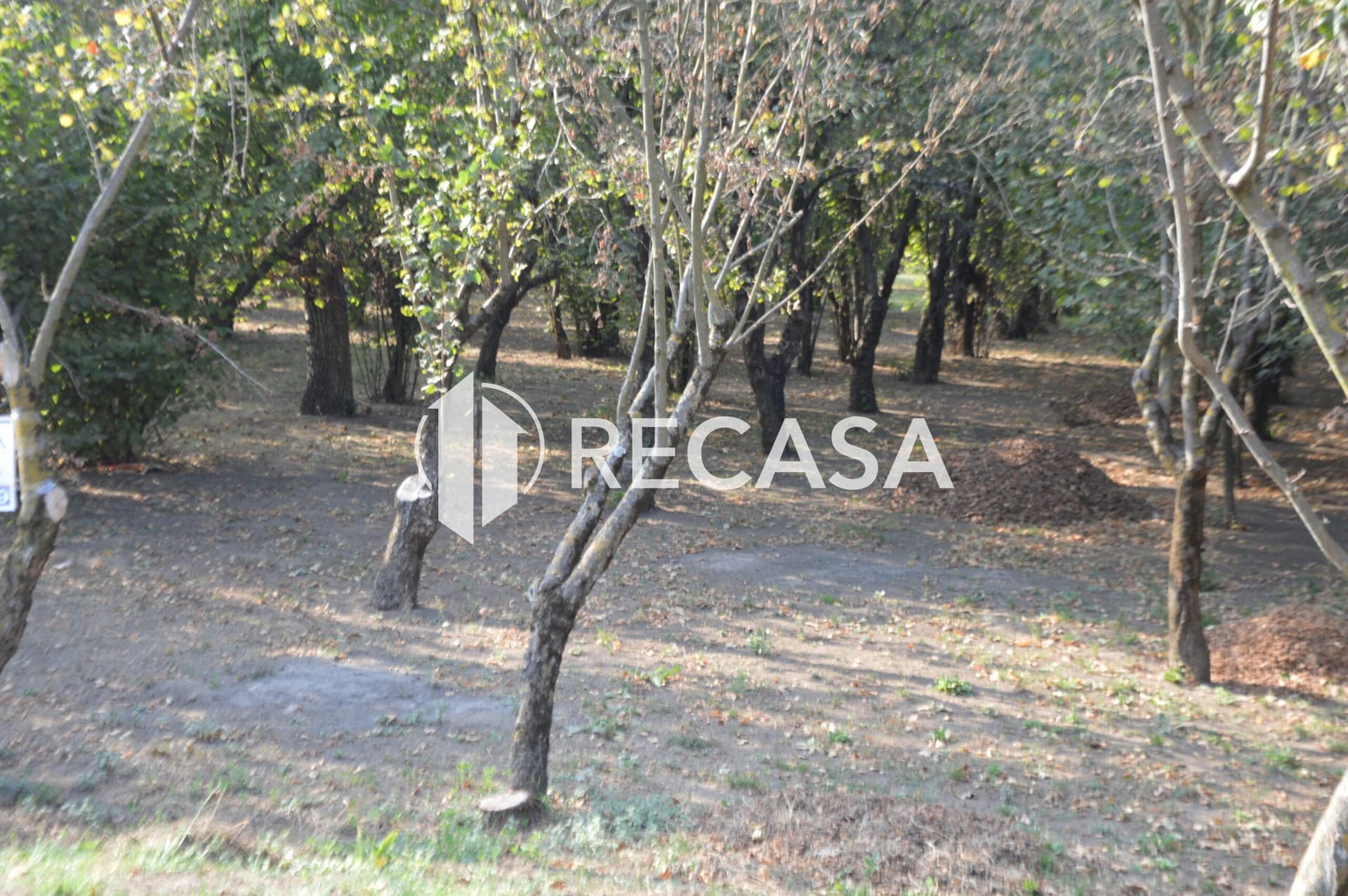 Terreno agricolo Santa Lucia di Serino - Foto 9