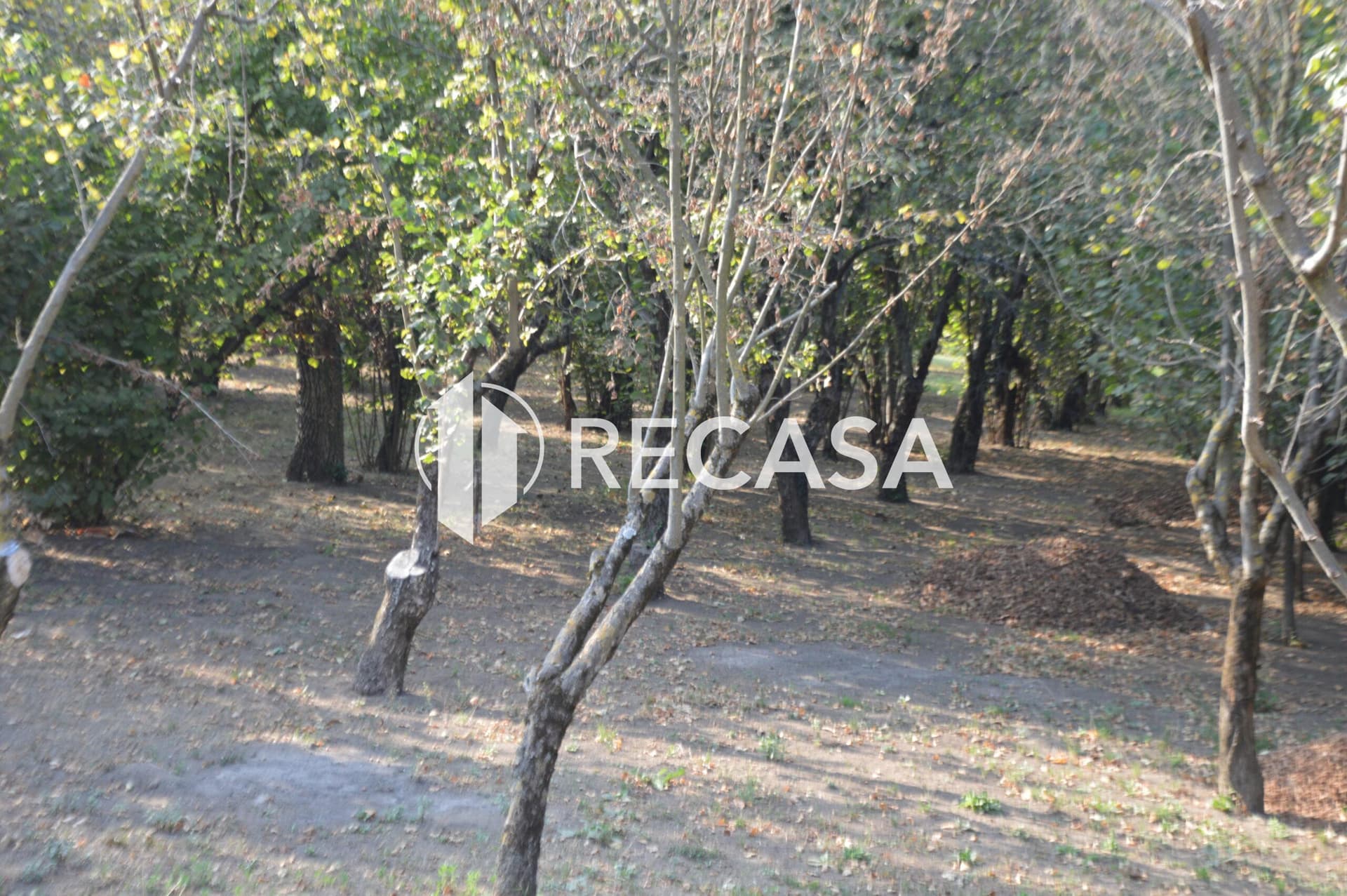 Terreno agricolo Santa Lucia di Serino - Foto 10