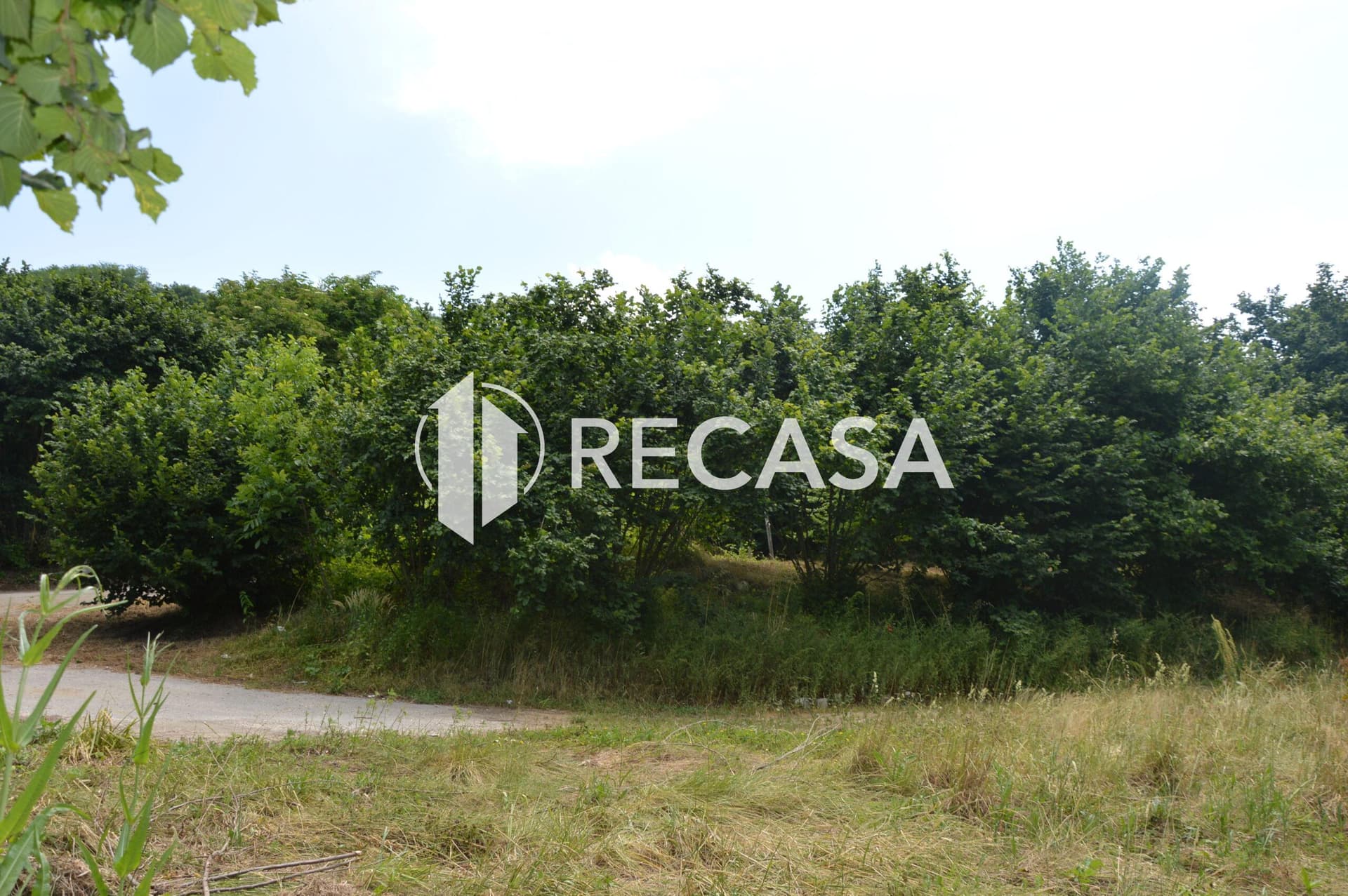 Vendesi noccioleto pianeggiante ad Atripalda - Foto 2