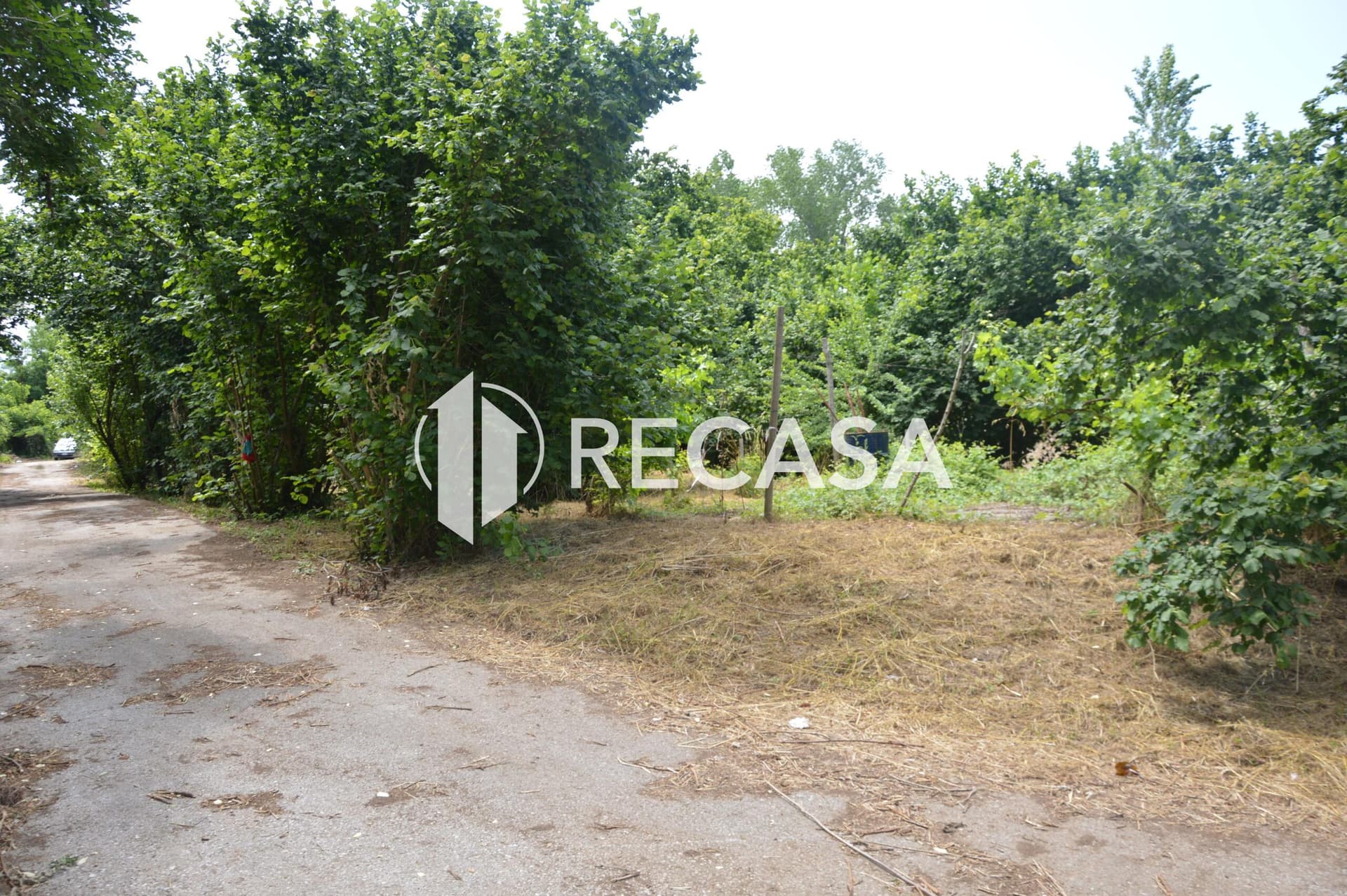 Vendesi noccioleto pianeggiante ad Atripalda - Foto 3