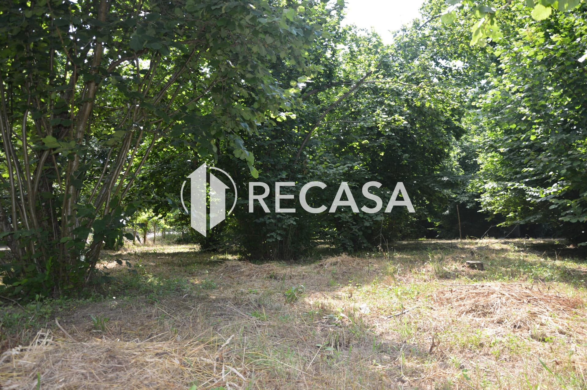 Vendesi noccioleto pianeggiante ad Atripalda - Foto 9