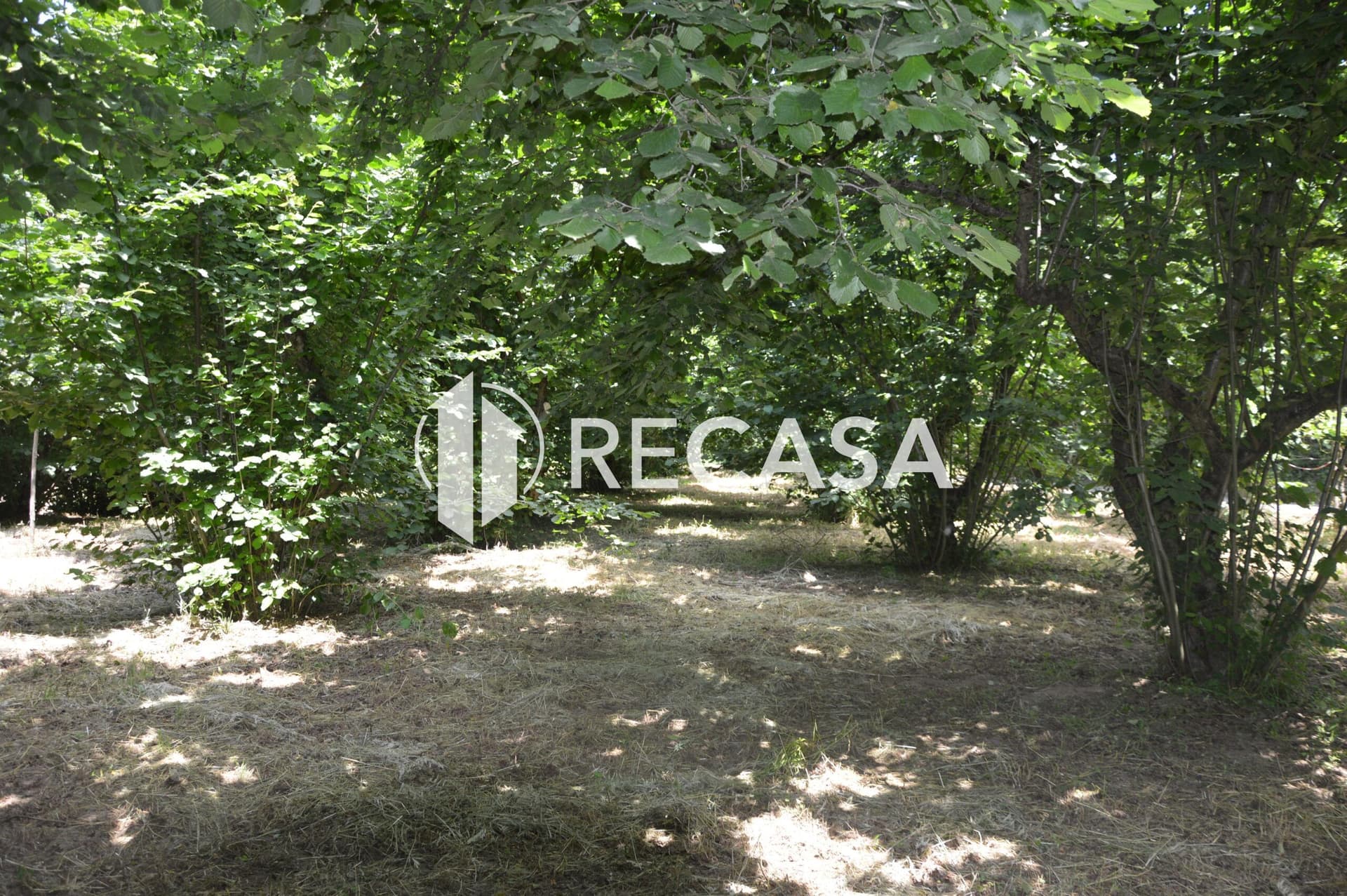 Vendesi noccioleto pianeggiante ad Atripalda - Foto 12