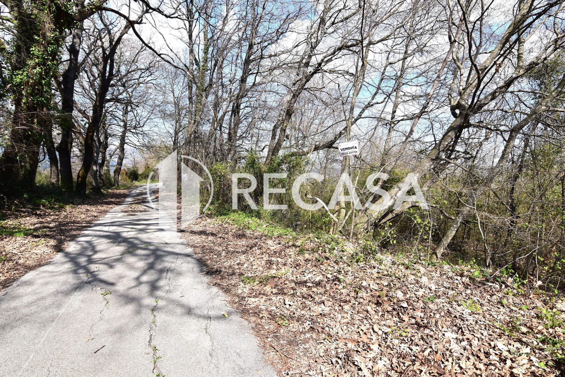 Vendita lotto agricolo San Barbato Manocalzati - Foto 8