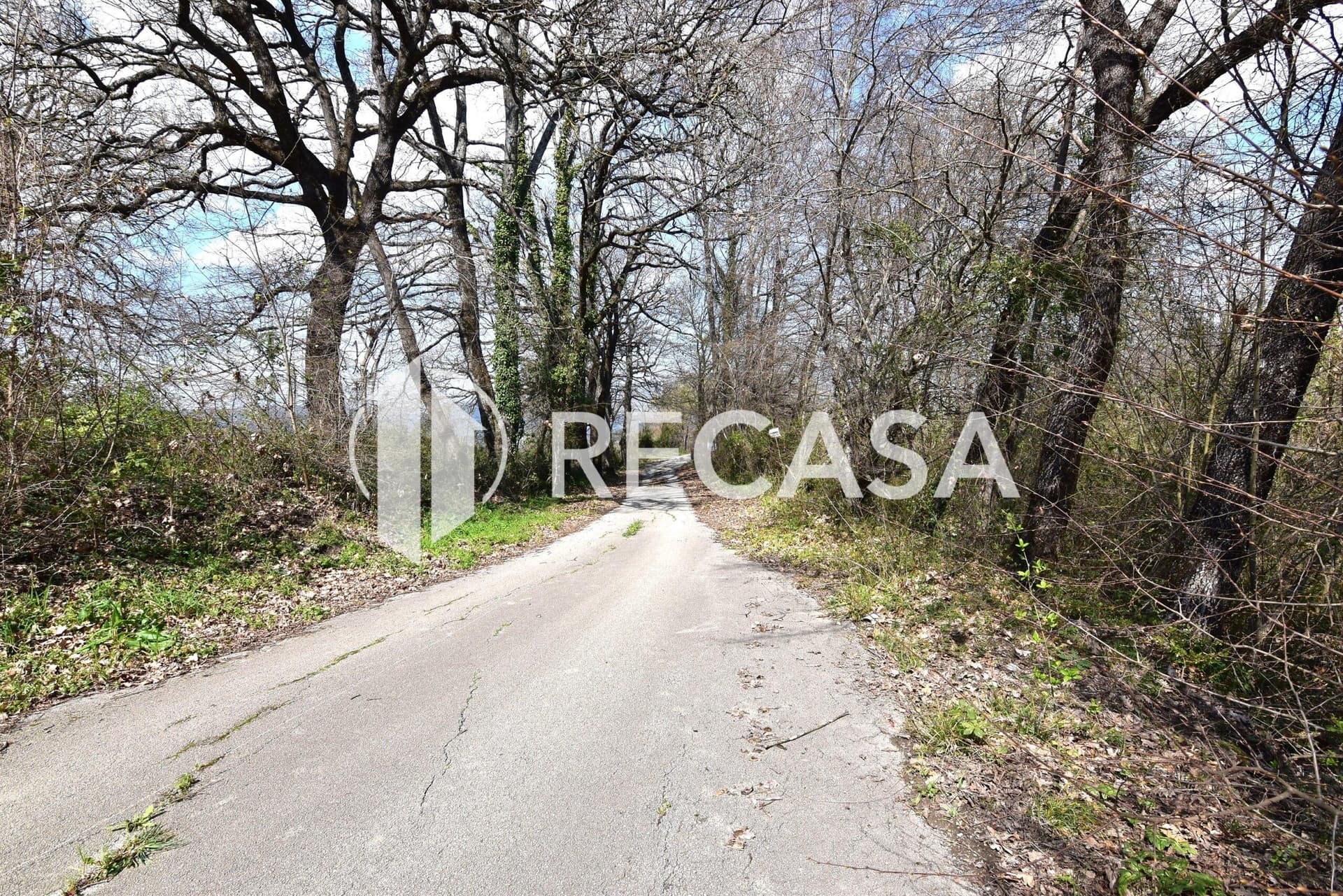 Vendita lotto agricolo San Barbato Manocalzati - Foto 10