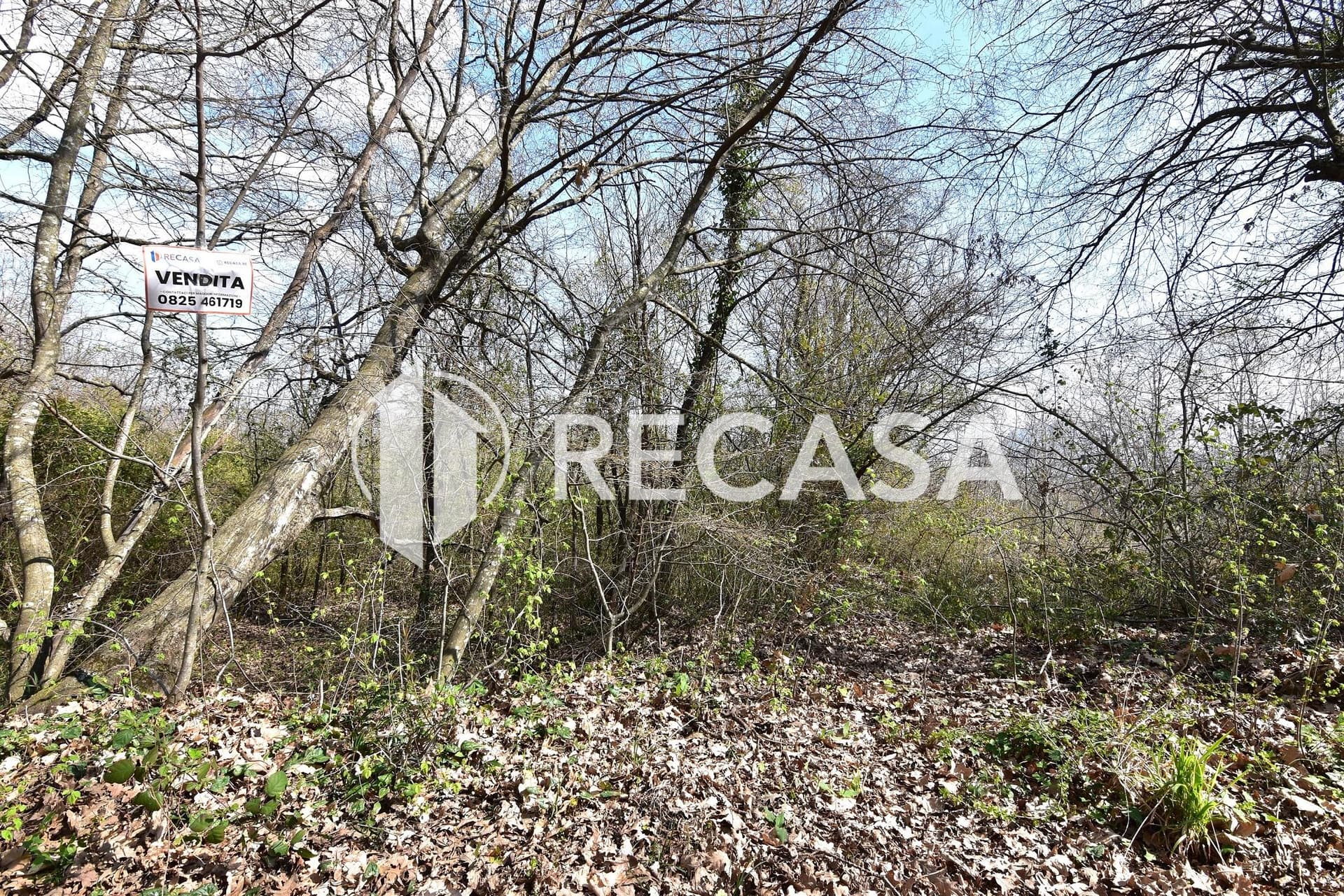 Vendita lotto agricolo San Barbato Manocalzati - Foto 11