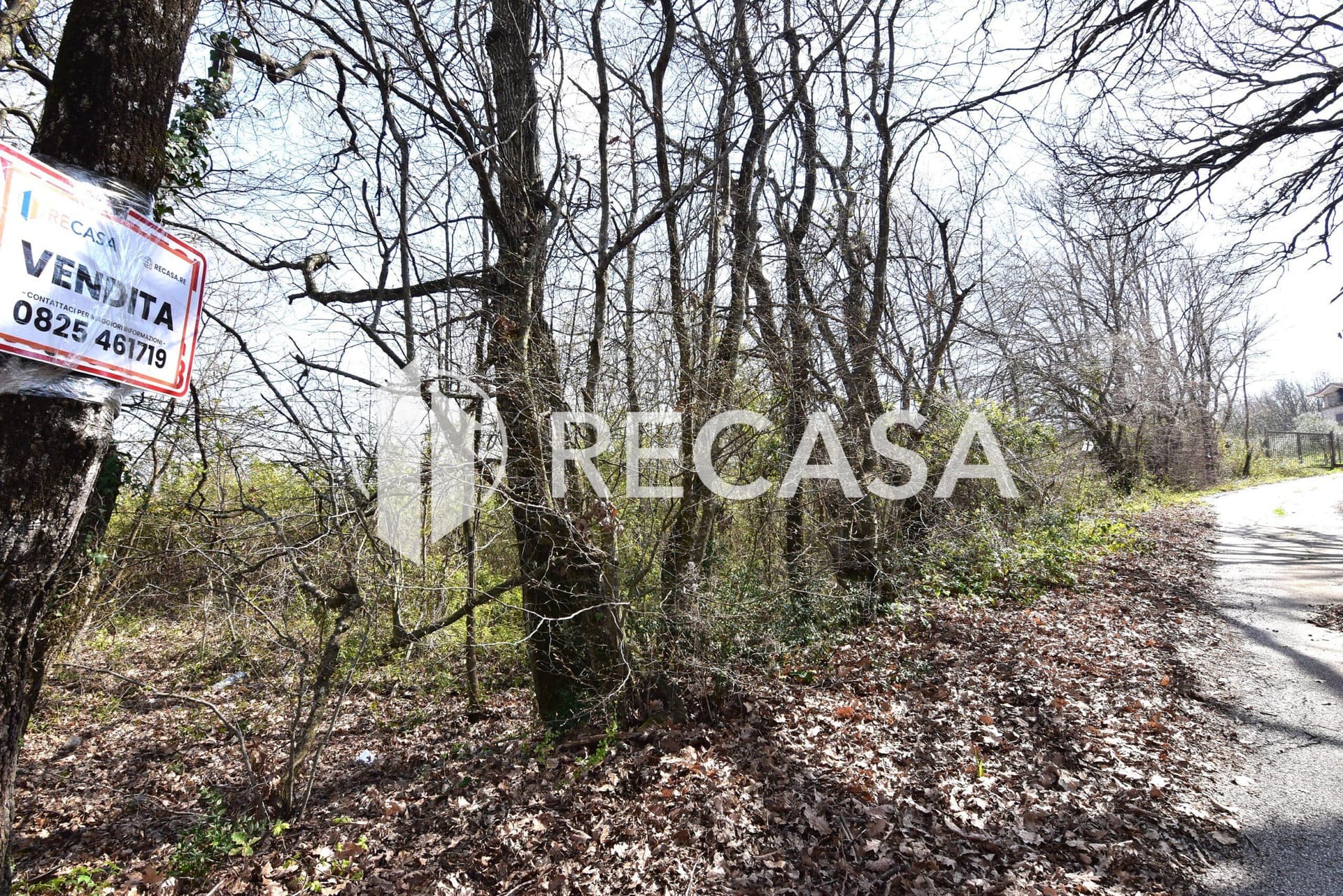 Vendita lotto agricolo San Barbato Manocalzati - Foto 14