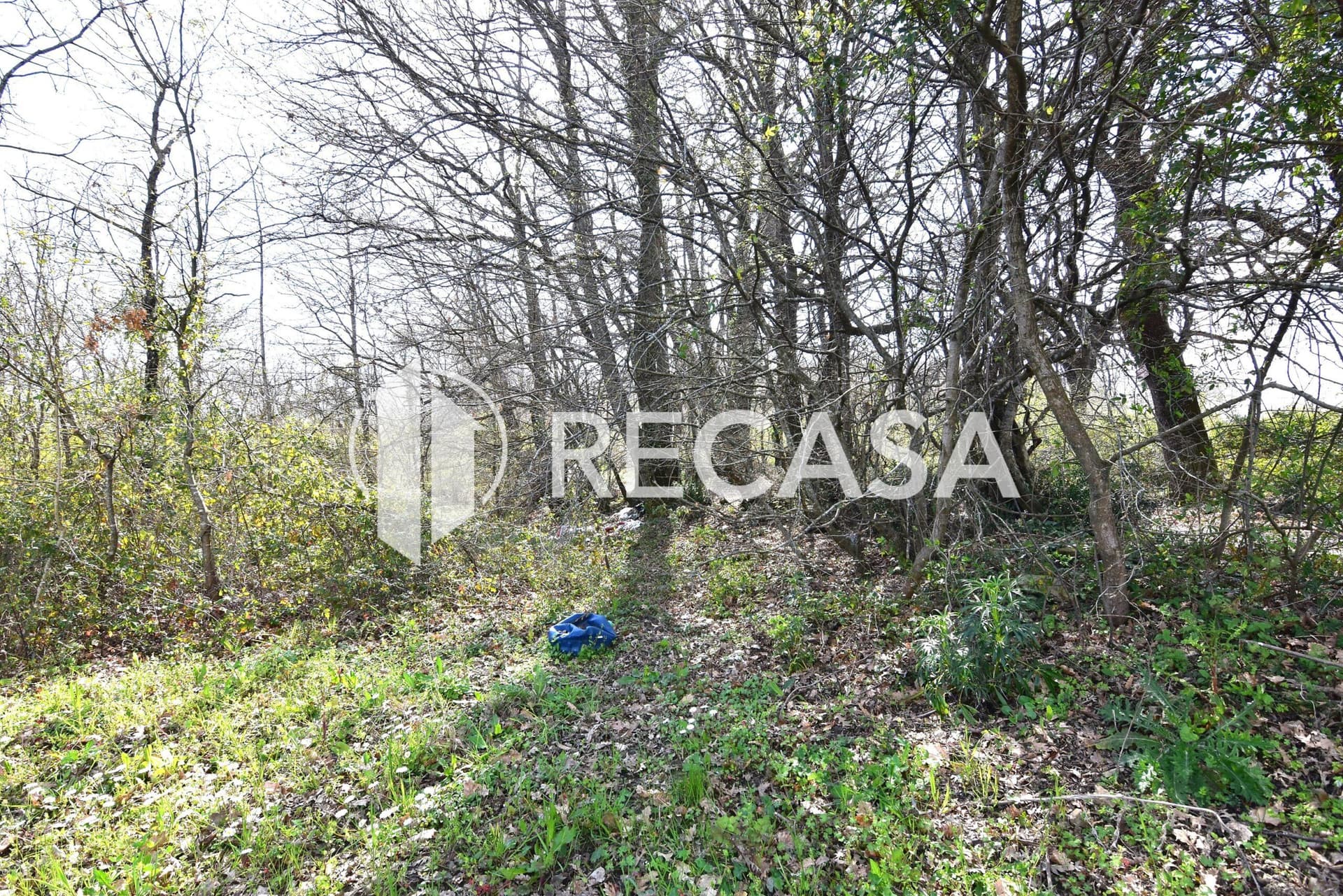 Vendita lotto agricolo San Barbato Manocalzati - Foto 17