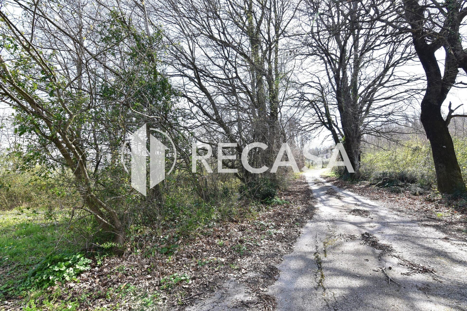 Vendita lotto agricolo San Barbato Manocalzati - Foto 19