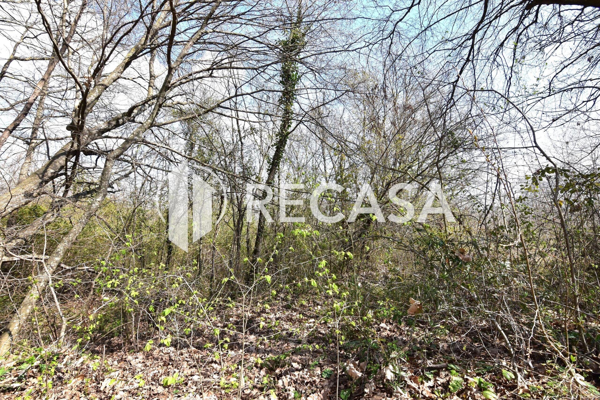 Vendita lotto agricolo San Barbato Manocalzati - Foto 21