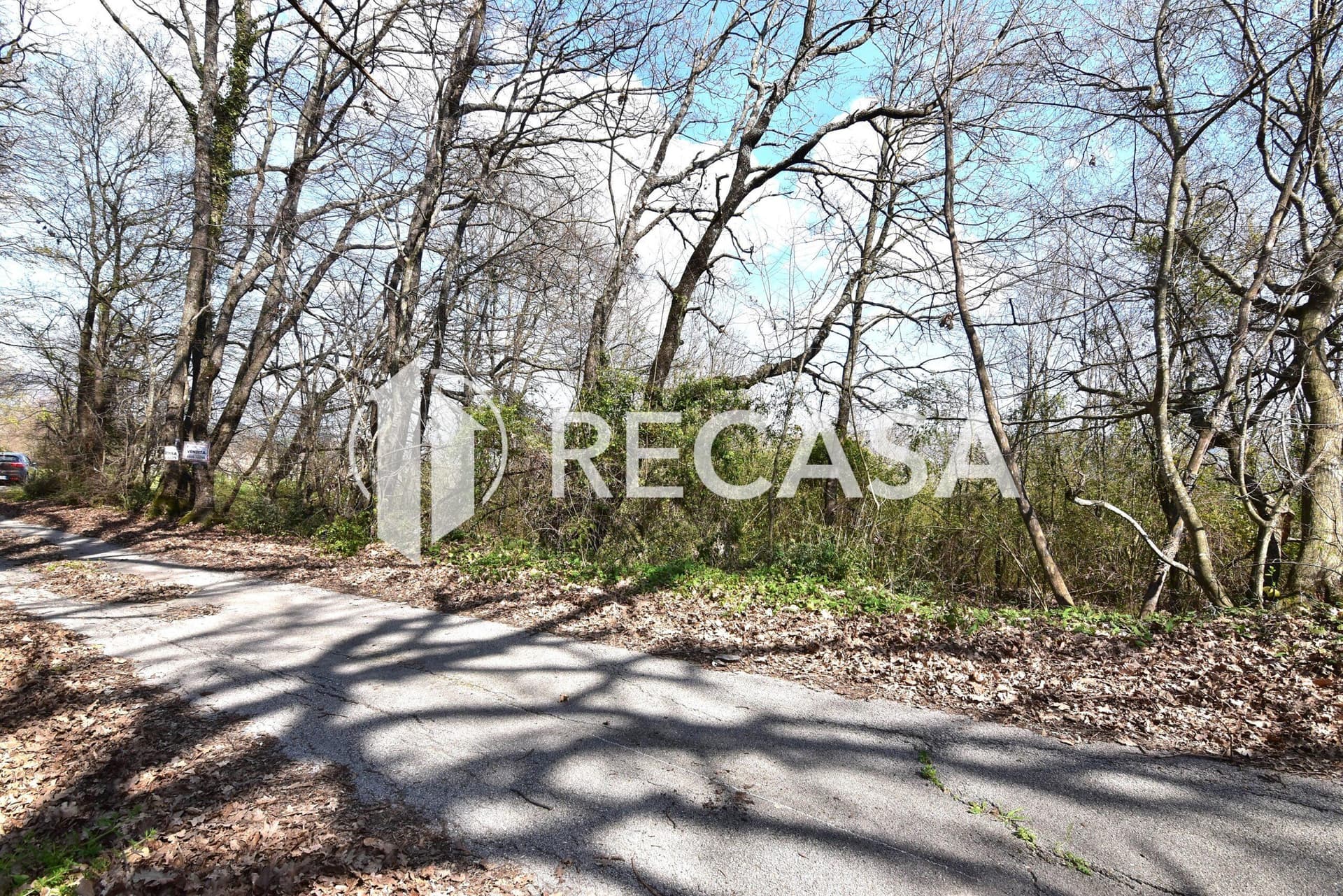 Vendita lotto agricolo San Barbato Manocalzati - Foto 22