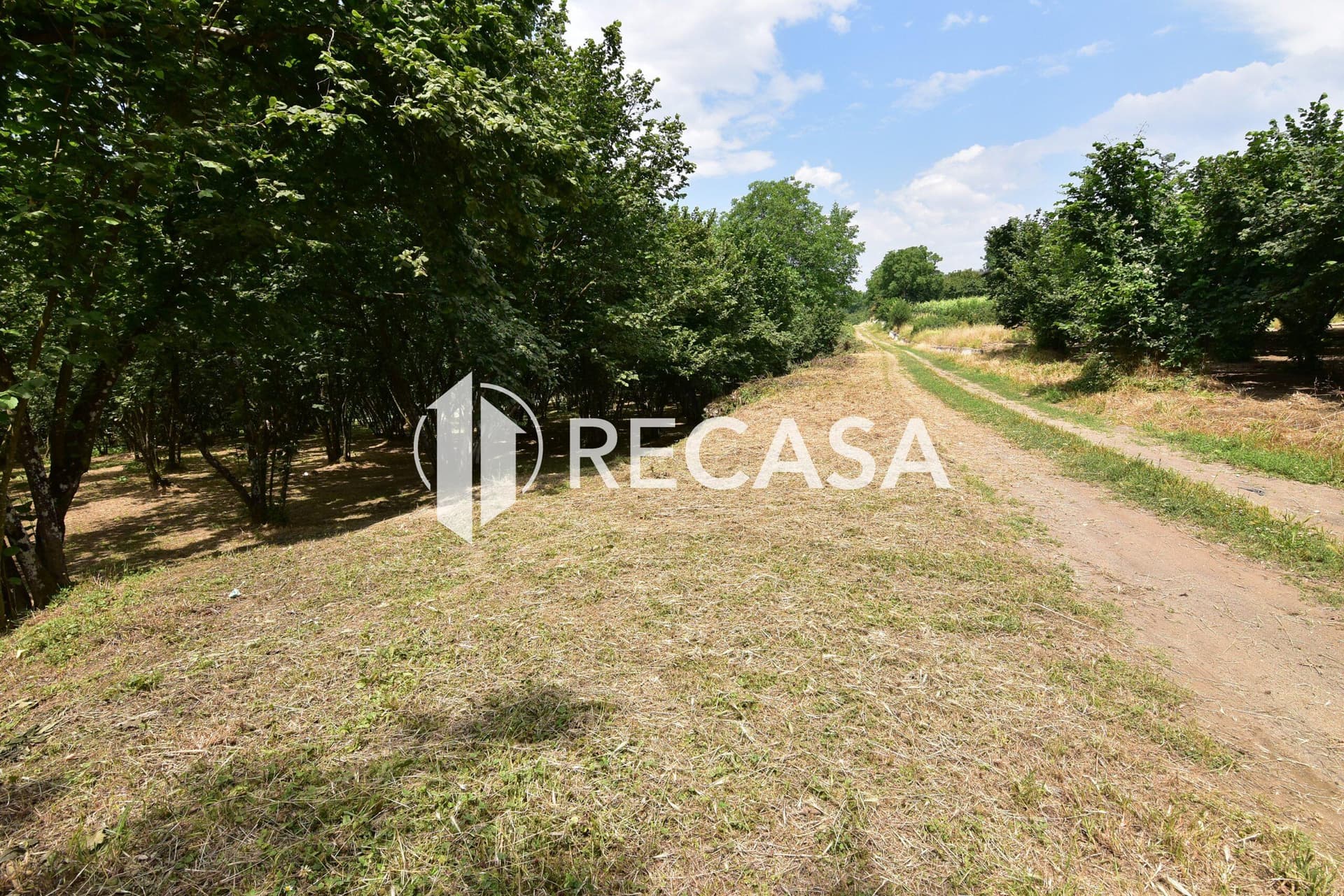 Vendita lotto di terreno edificabile Aiello del Sabato - Foto 1