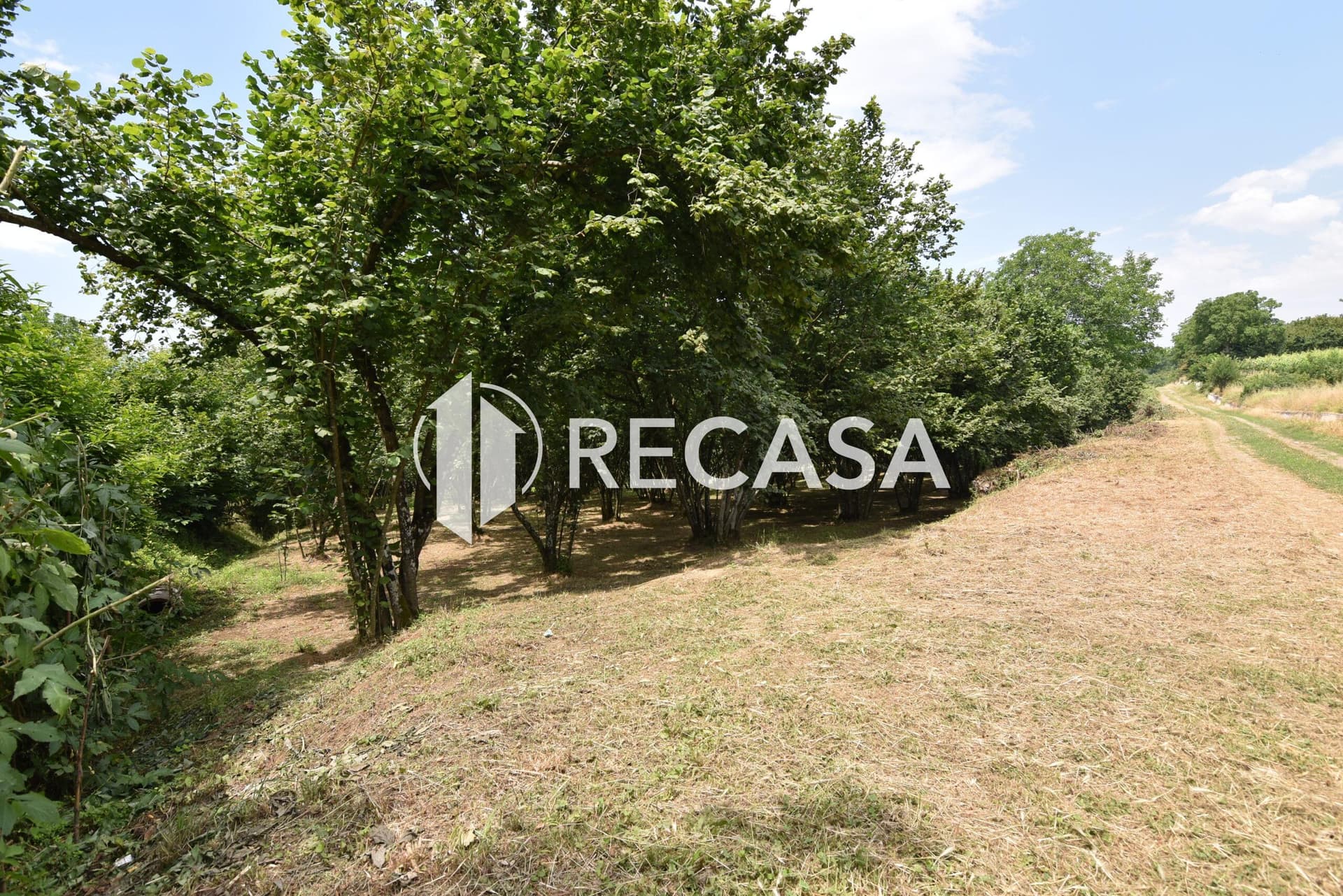 Vendita lotto di terreno edificabile Aiello del Sabato - Foto 3