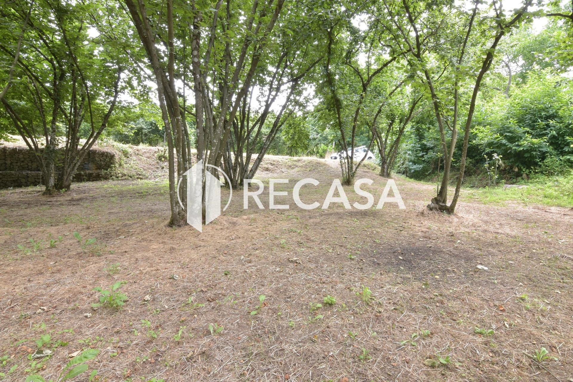 Vendita lotto di terreno edificabile Aiello del Sabato - Foto 5