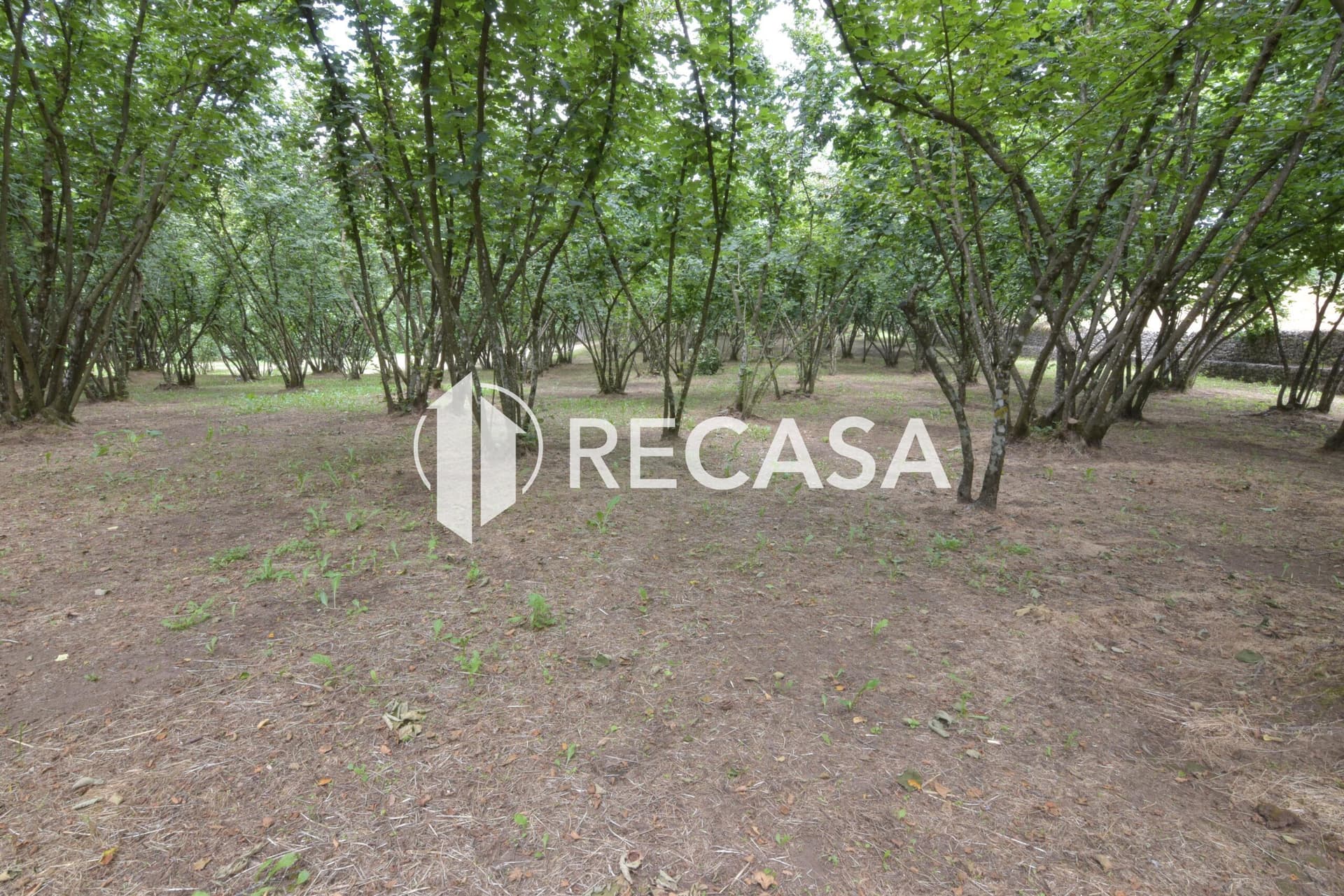 Vendita lotto di terreno edificabile Aiello del Sabato - Foto 6