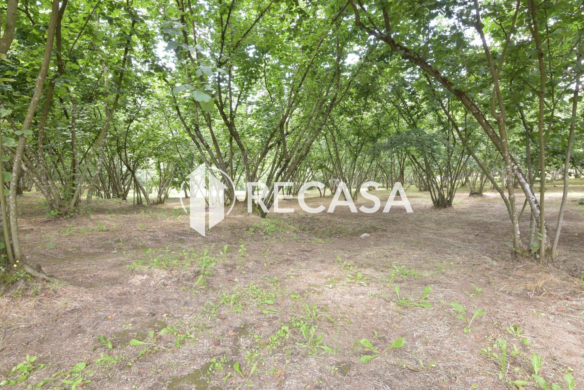 Vendita lotto di terreno edificabile Aiello del Sabato - Foto 7