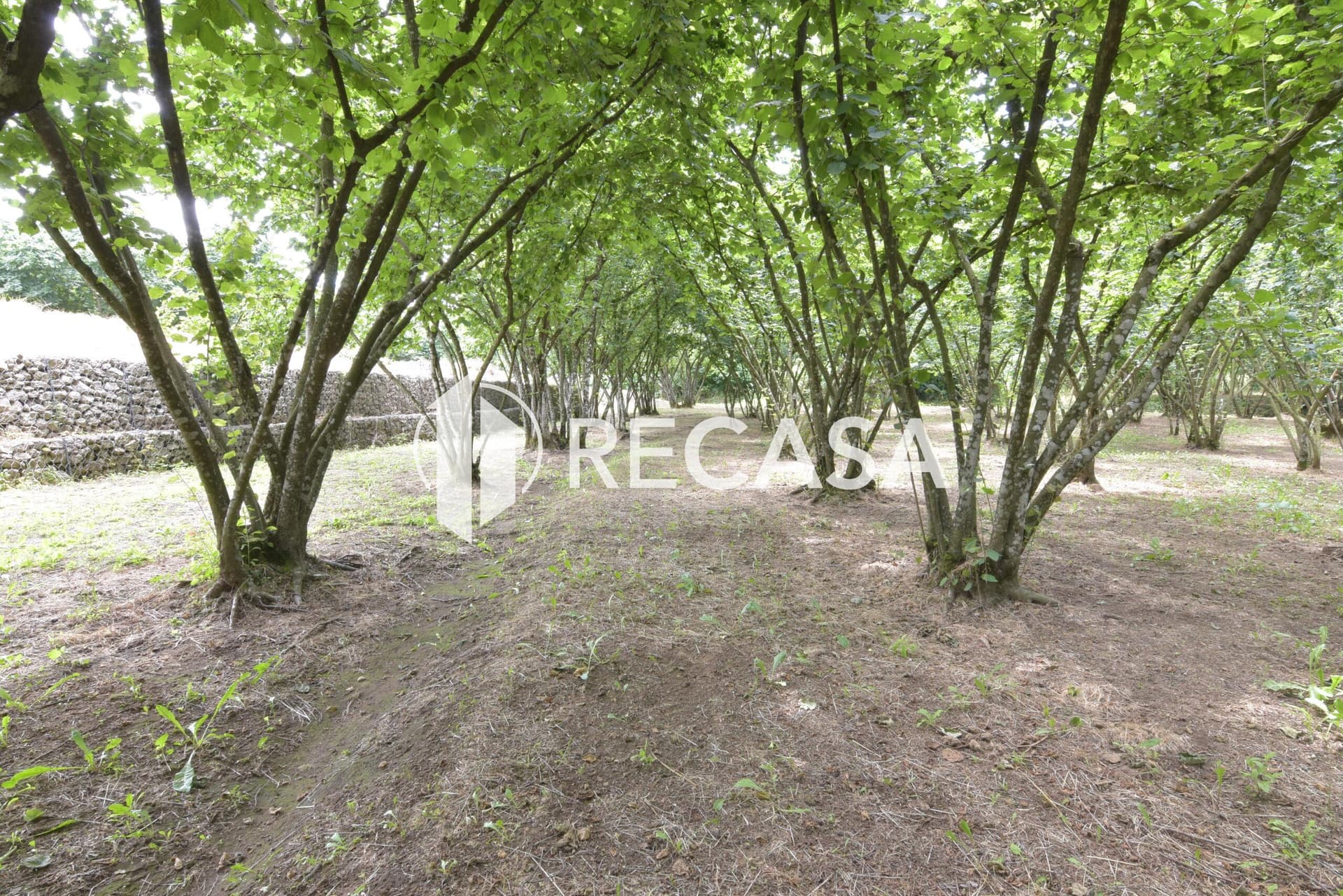 Vendita lotto di terreno edificabile Aiello del Sabato - Foto 10