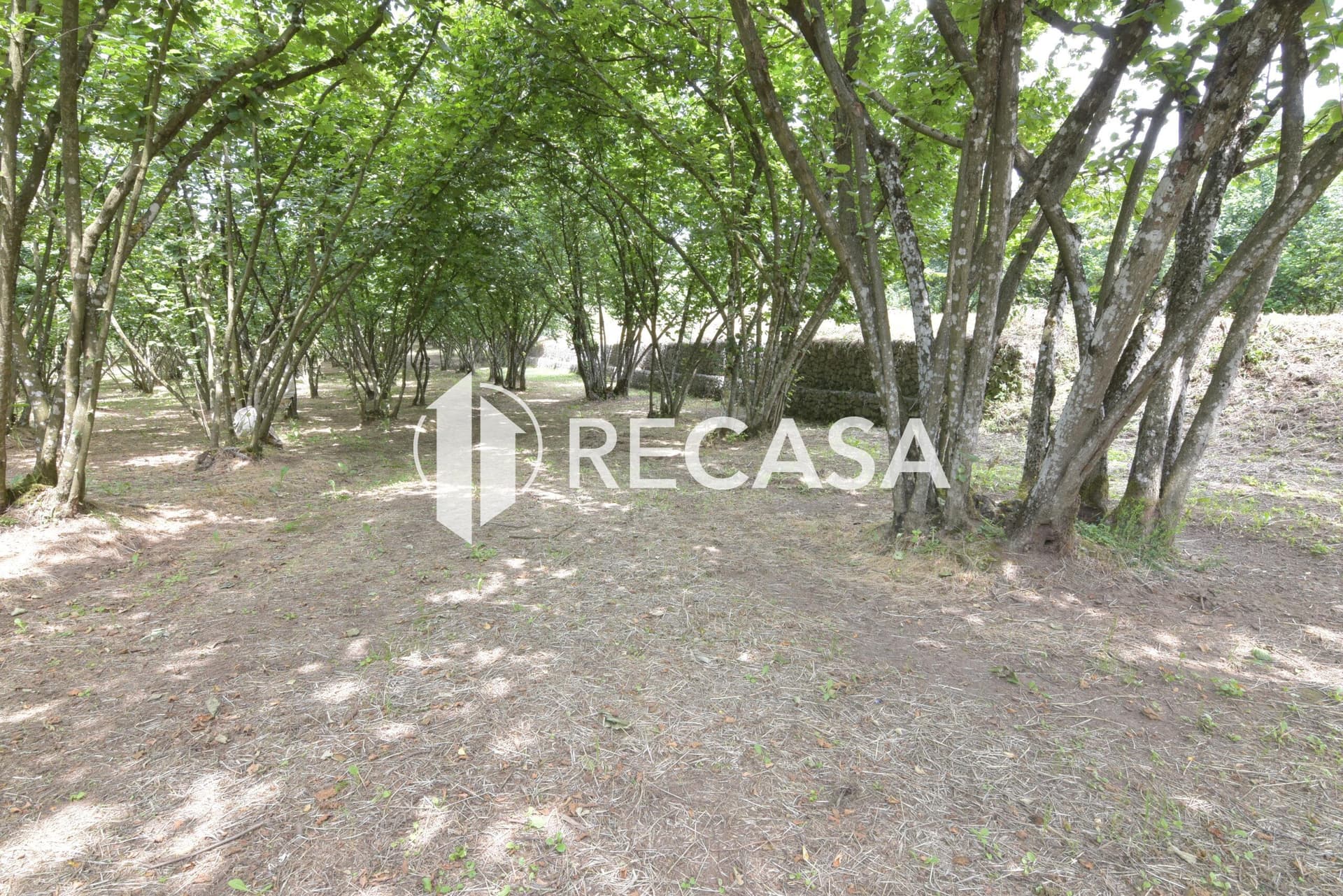 Vendita lotto di terreno edificabile Aiello del Sabato - Foto 11