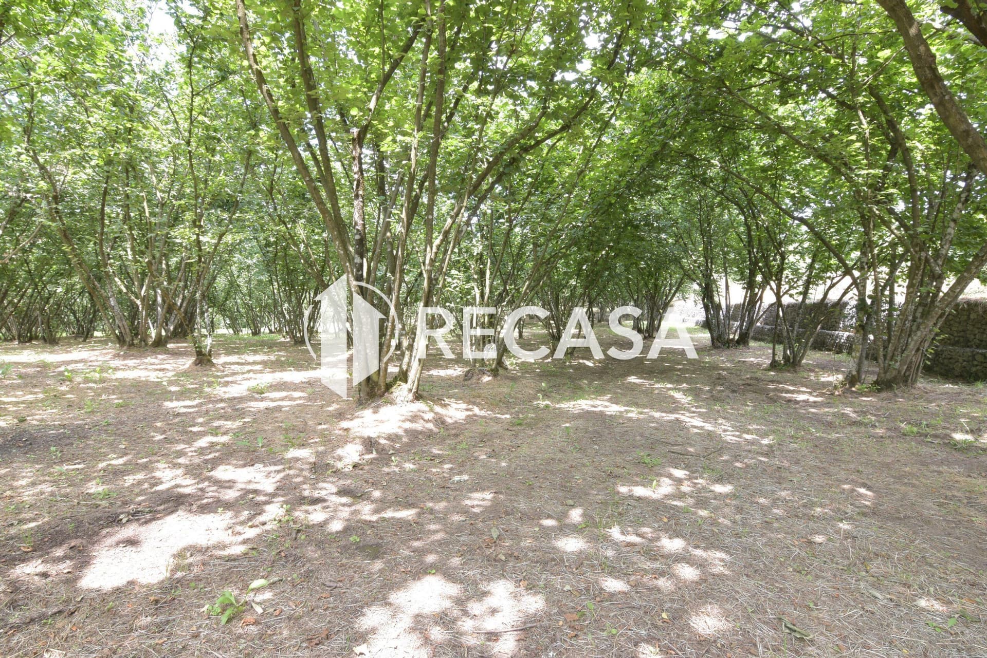 Vendita lotto di terreno edificabile Aiello del Sabato - Foto 12