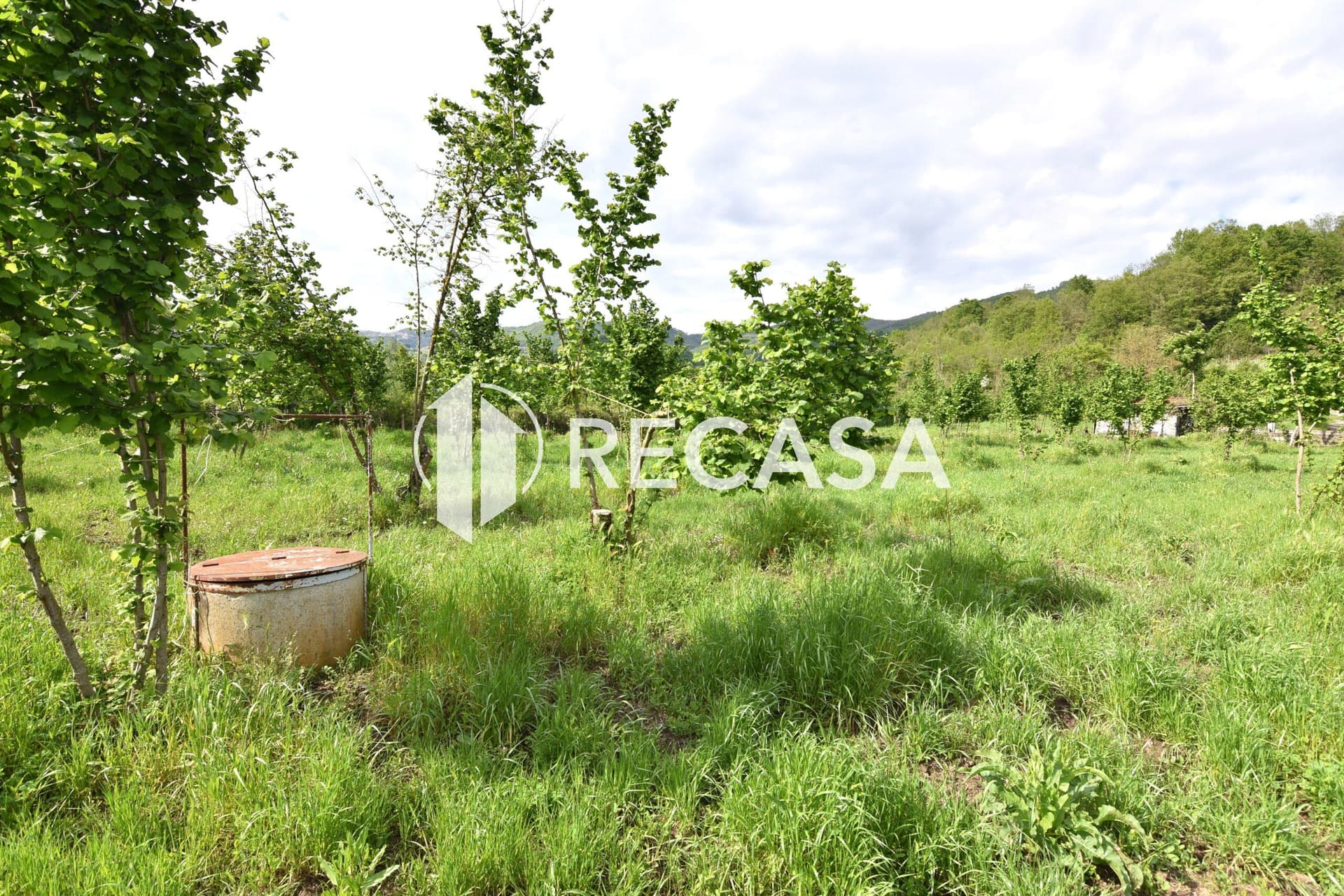 Vendita noccioleto con pozzo Tufo - Foto 6
