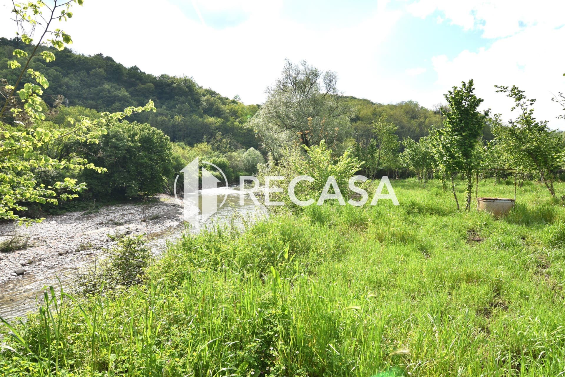 Vendita noccioleto con pozzo Tufo - Foto 8