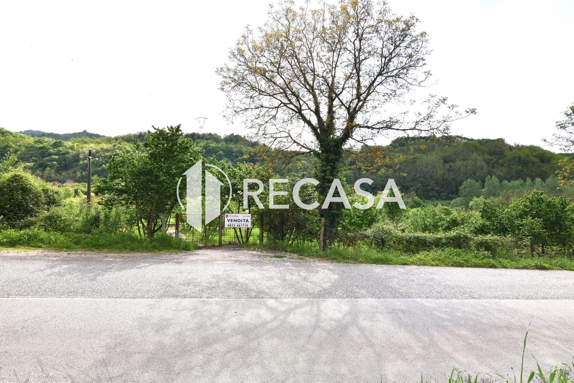 Vendita noccioleto con pozzo Tufo - Foto 12