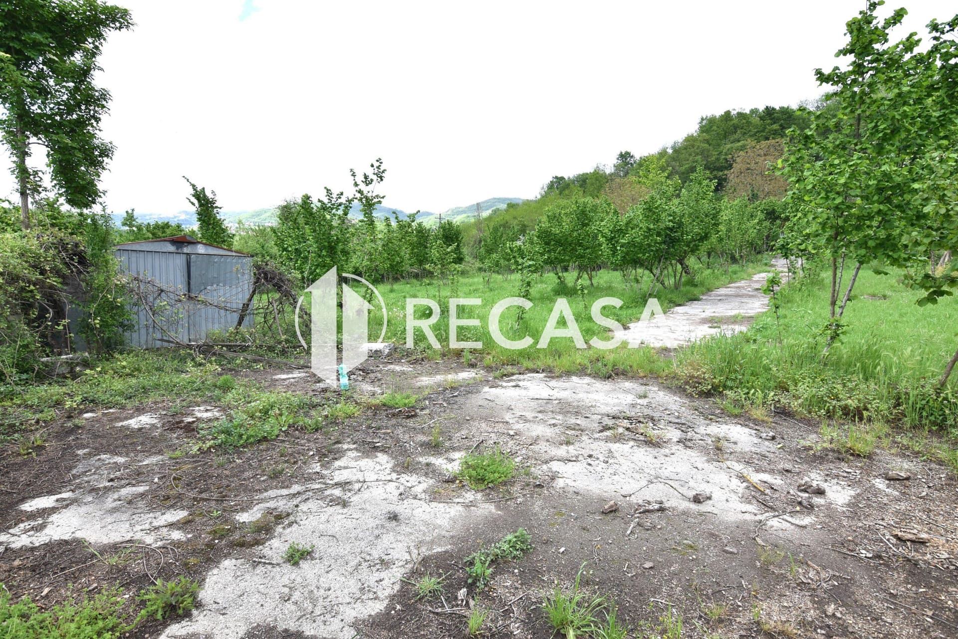 Vendita noccioleto con pozzo Tufo - Foto 16