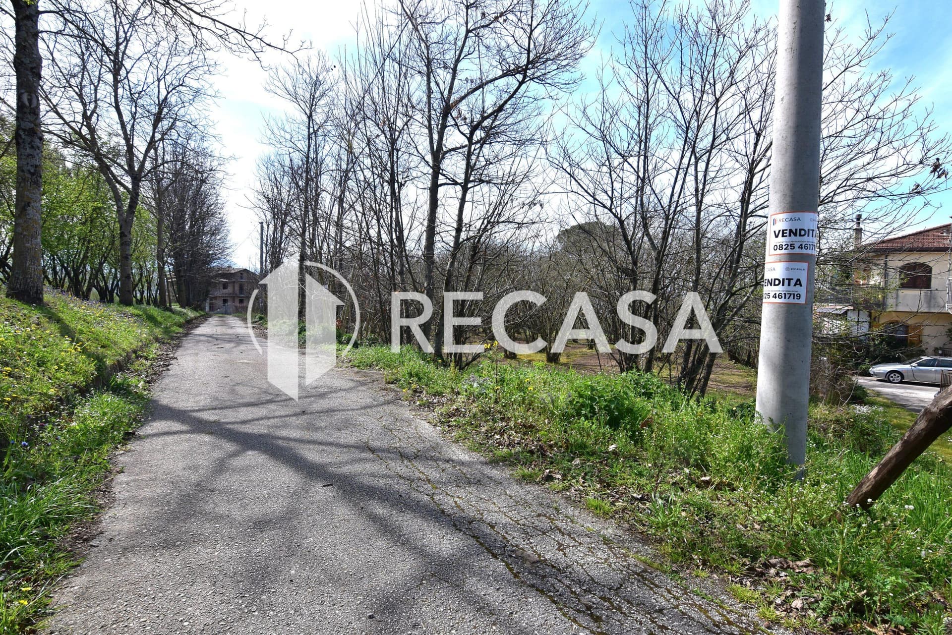 Vendita noccioleto pianeggiante Manocalzati - Foto 1