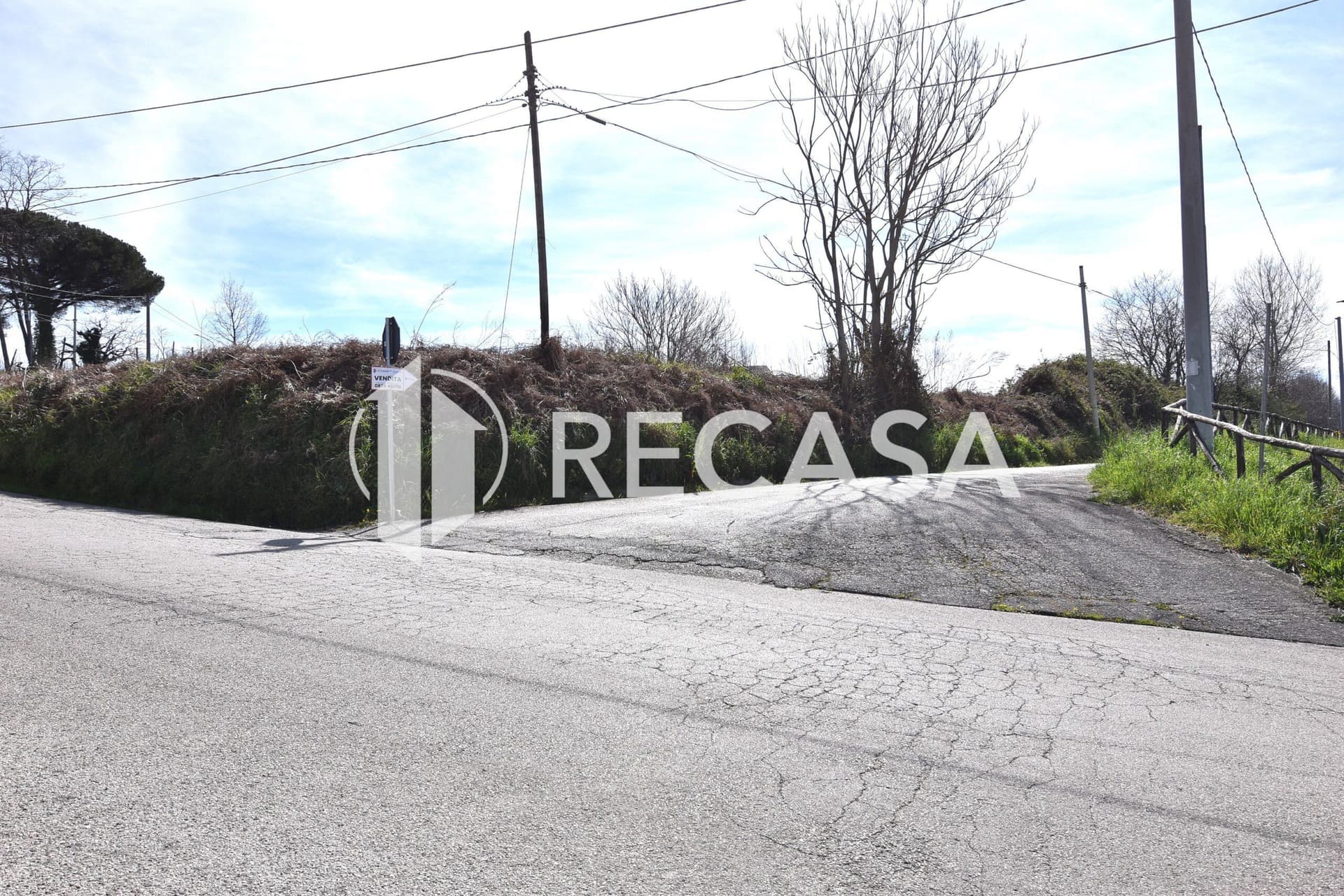 Vendita noccioleto pianeggiante Manocalzati - Foto 9