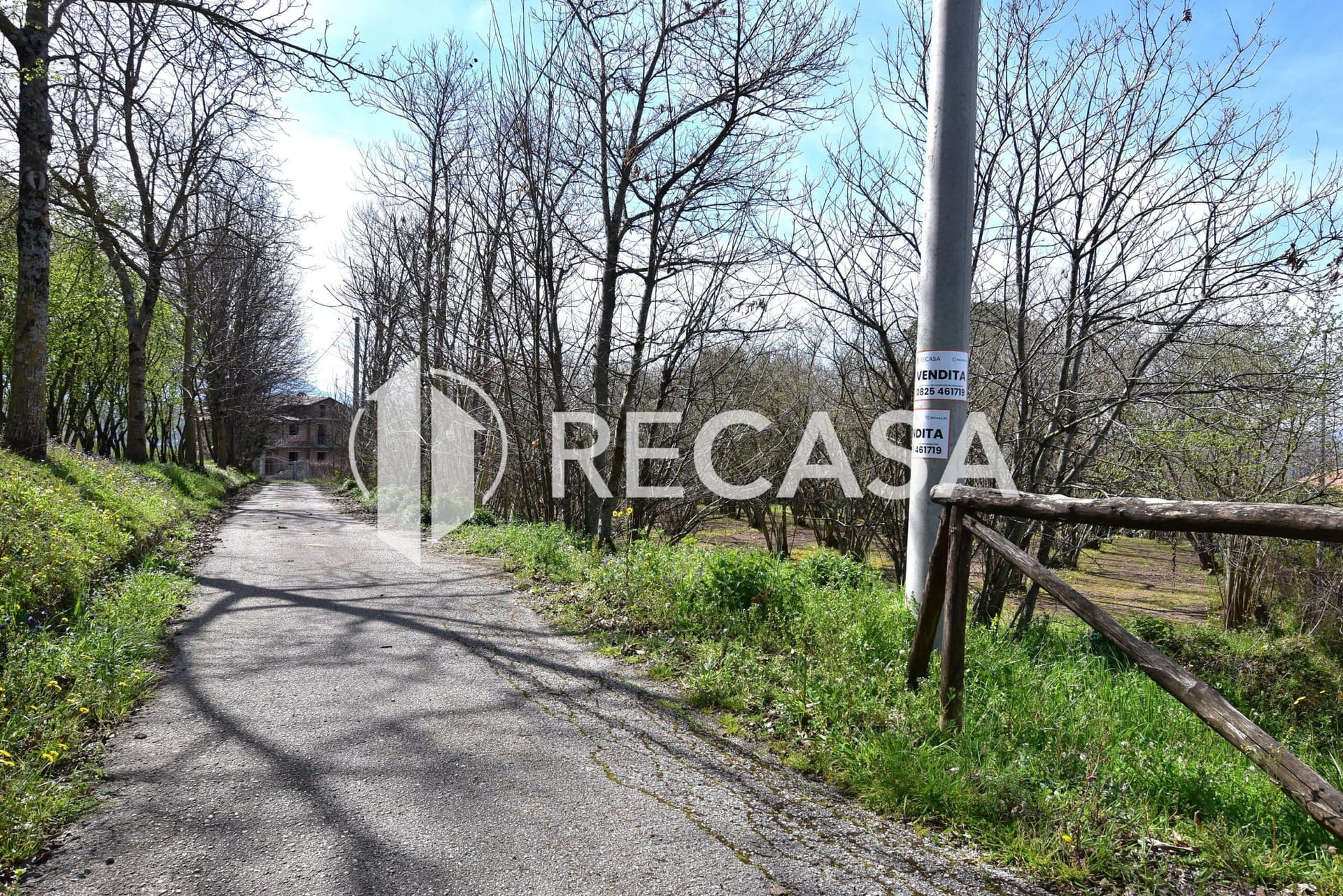 Vendita noccioleto pianeggiante Manocalzati - Foto 11