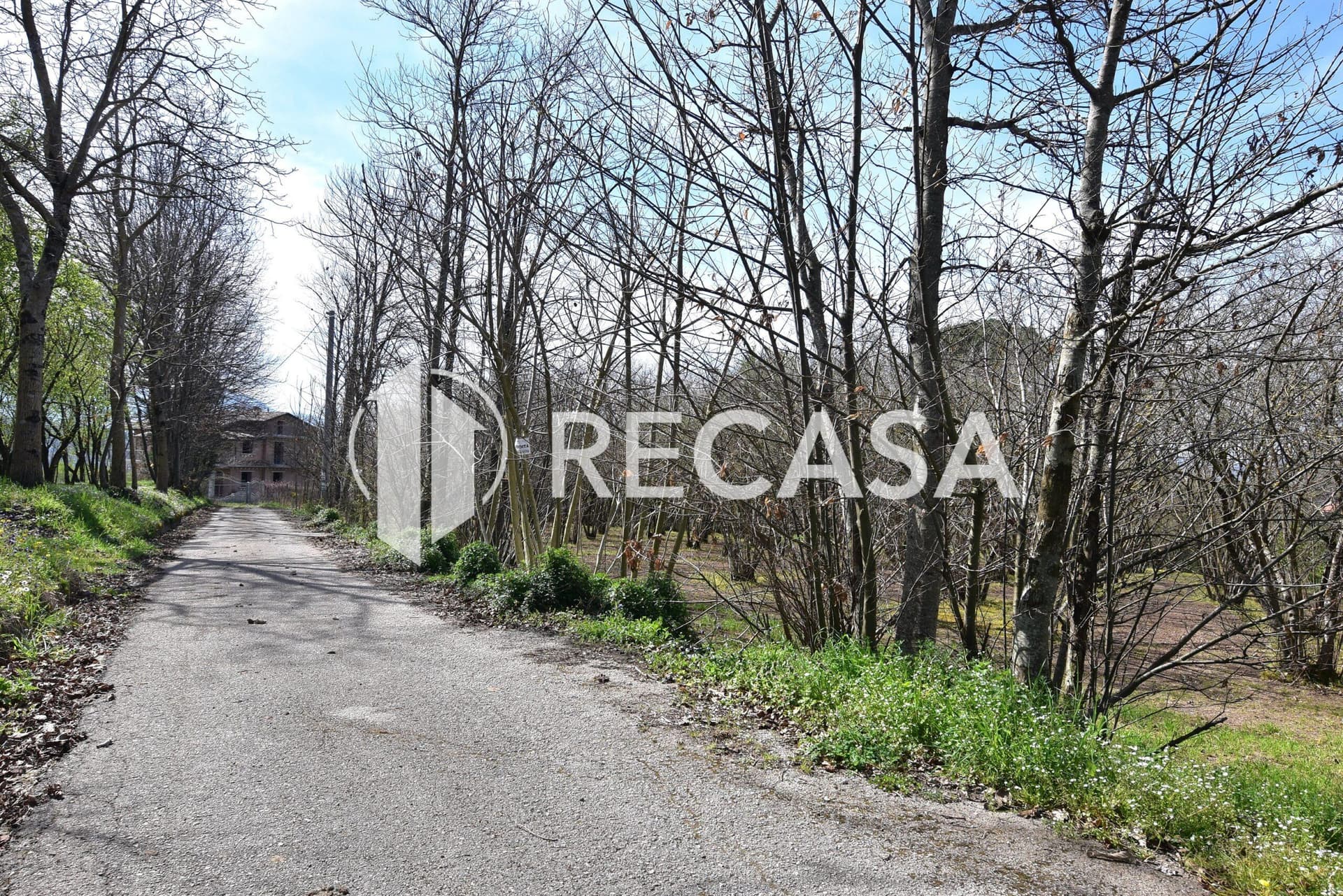 Vendita noccioleto pianeggiante Manocalzati - Foto 12