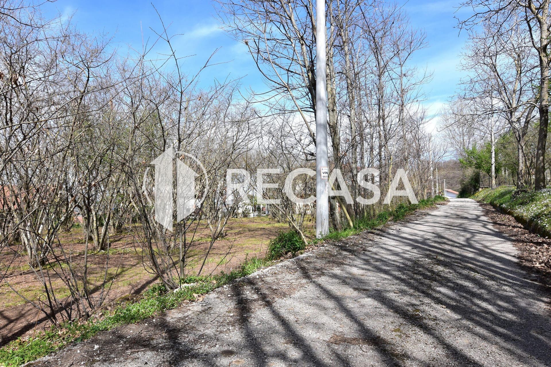 Vendita noccioleto pianeggiante Manocalzati - Foto 14