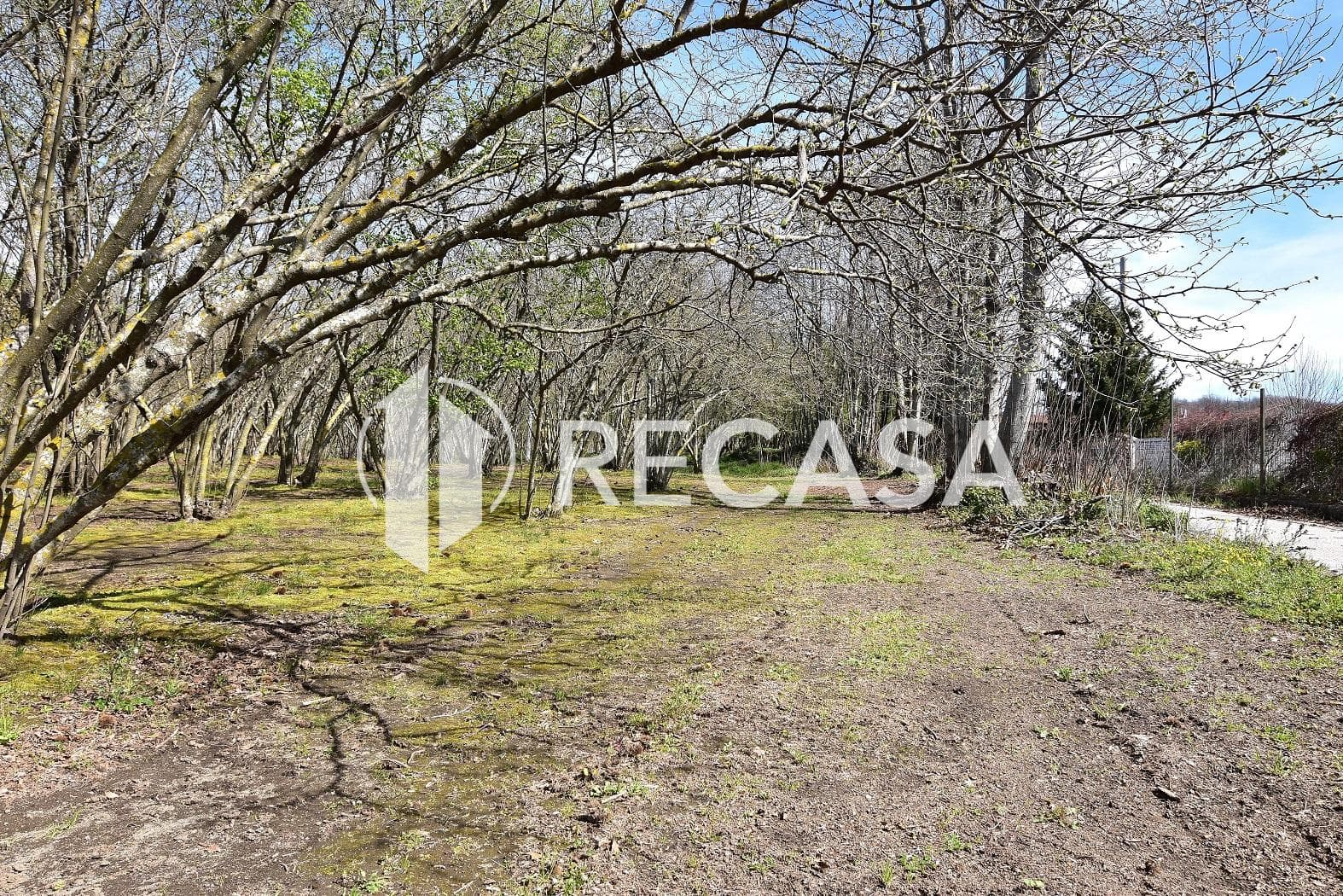 Vendita noccioleto pianeggiante Manocalzati - Foto 19