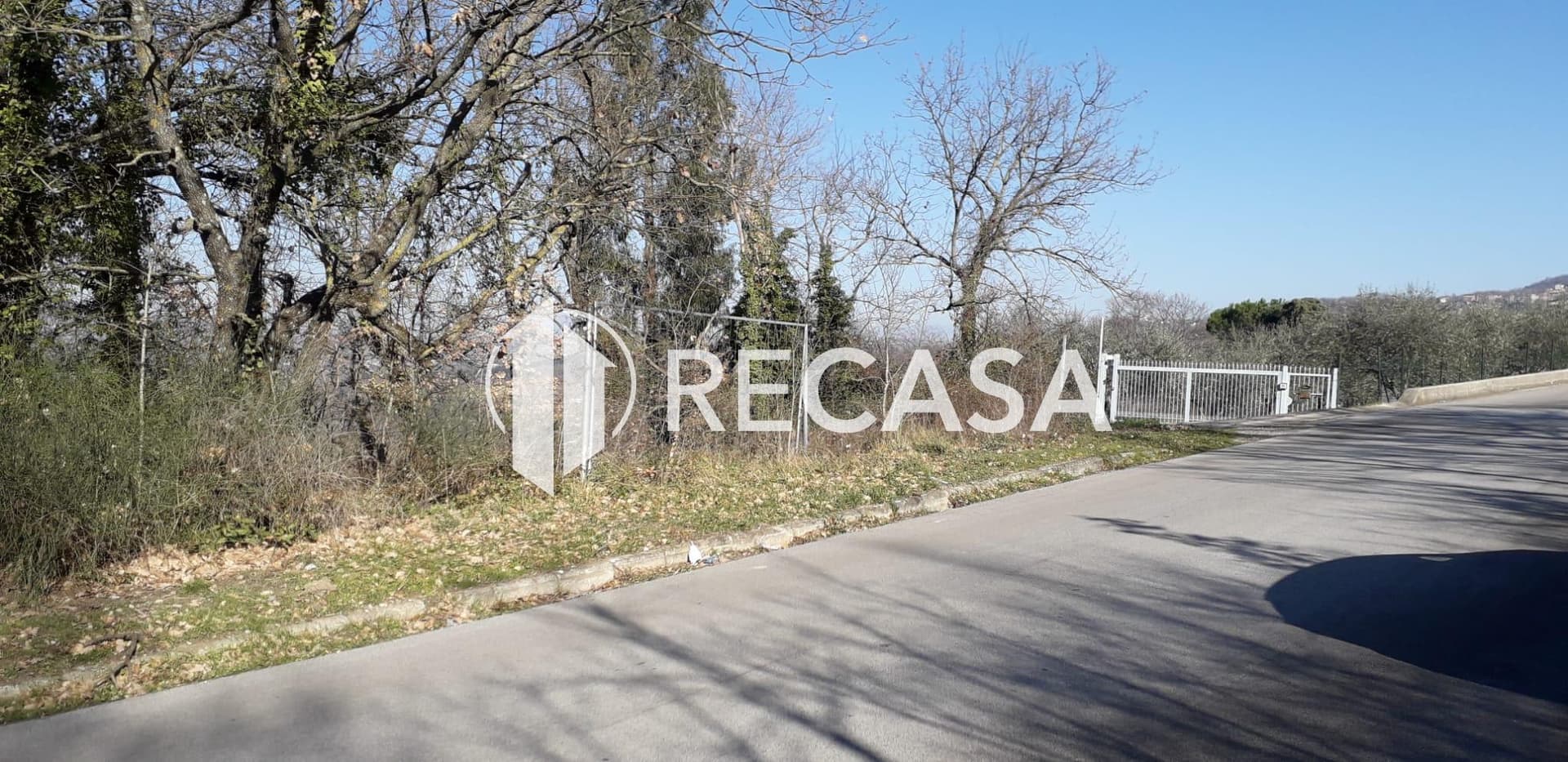 Vendita Terreno Agricolo Candida (Av) - Foto 2