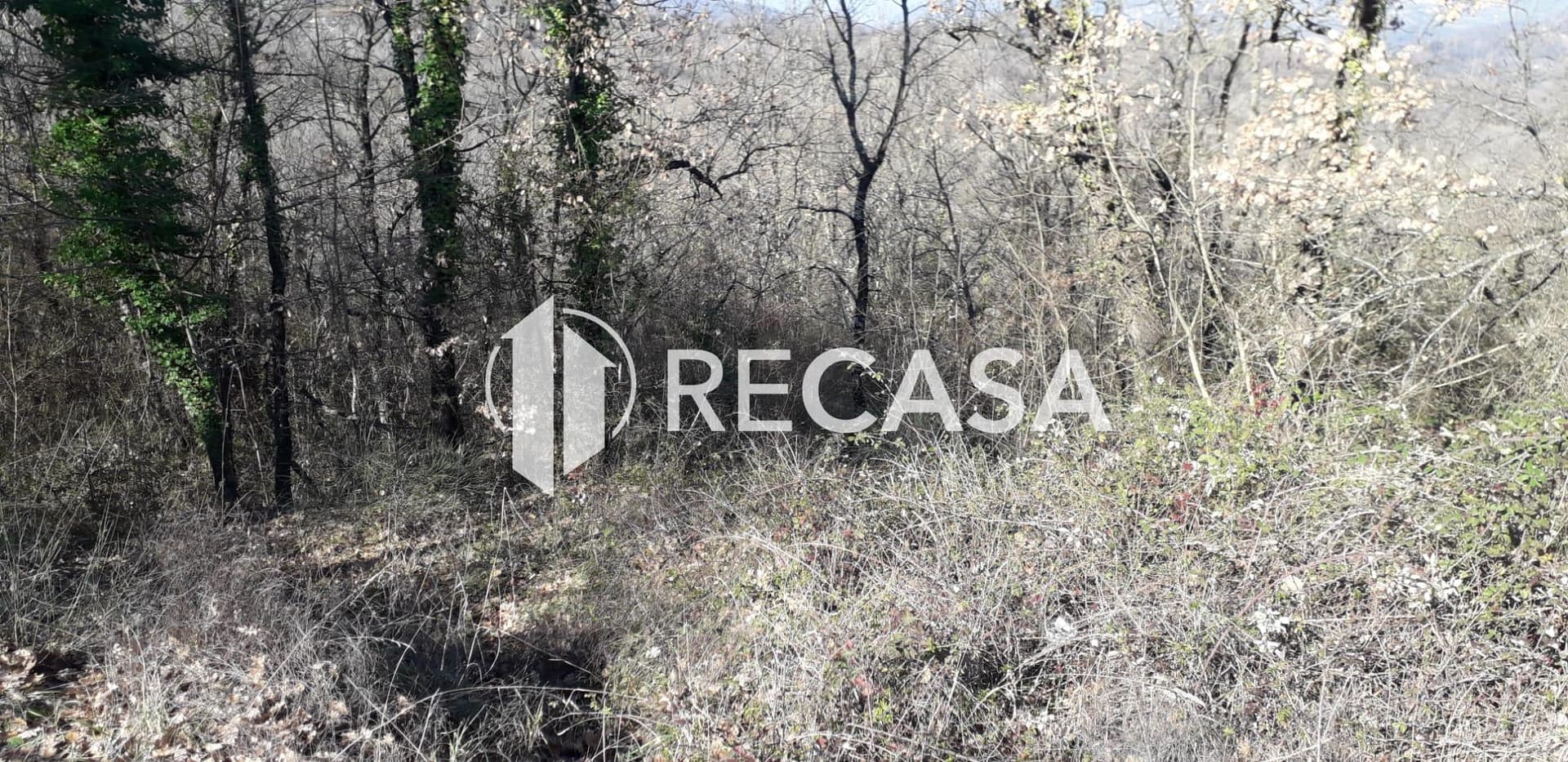 Vendita Terreno Agricolo Candida (Av) - Foto 5