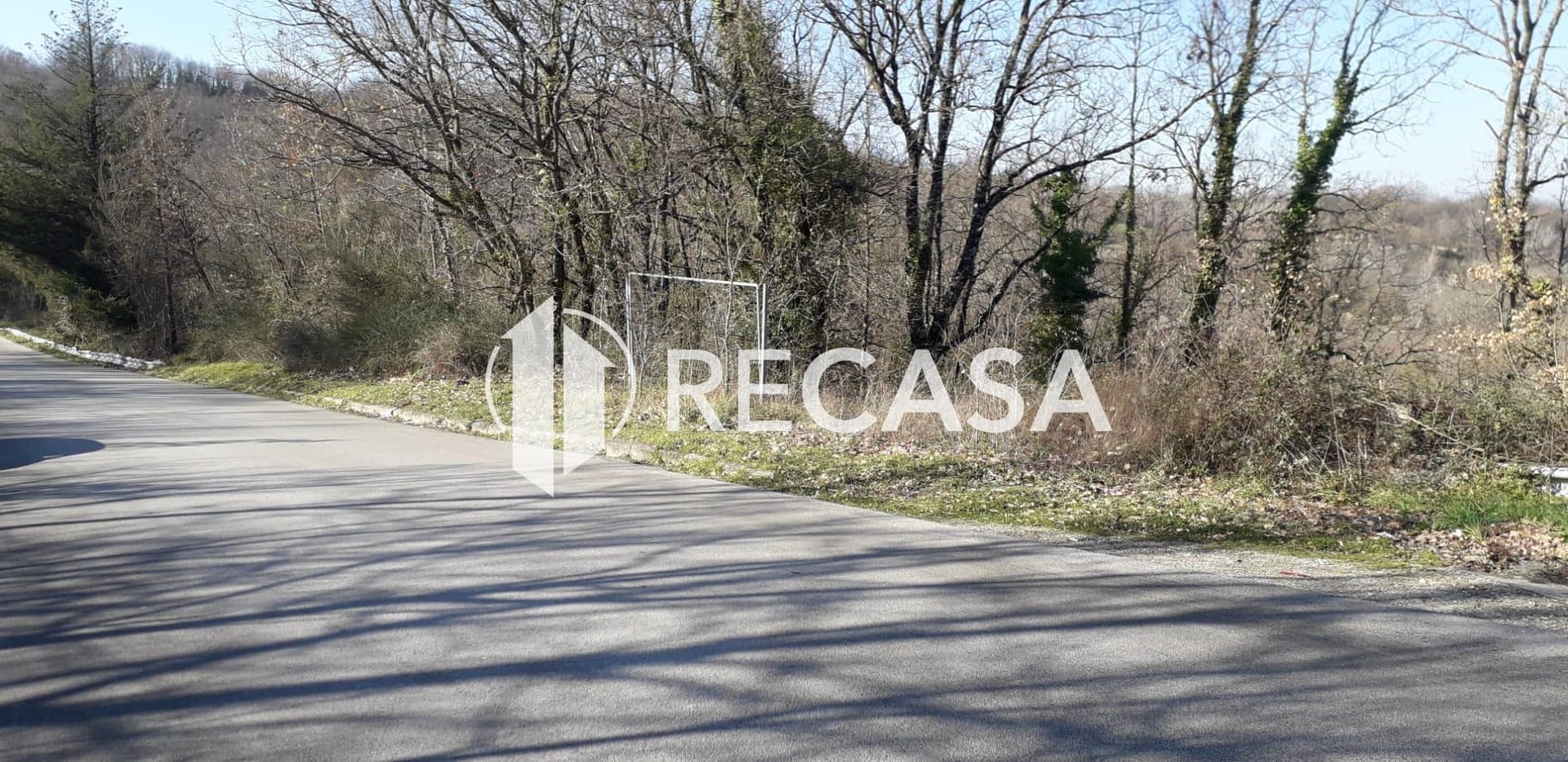 Vendita Terreno Agricolo Candida (Av) - Foto 6