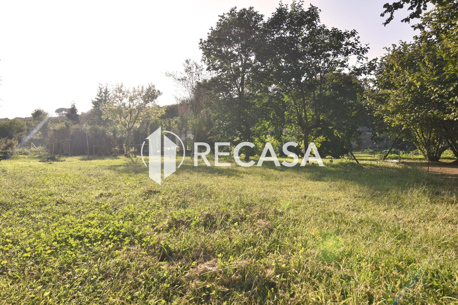 Vendita terreno agricolo con fabbricato interno Avellino - Foto 2