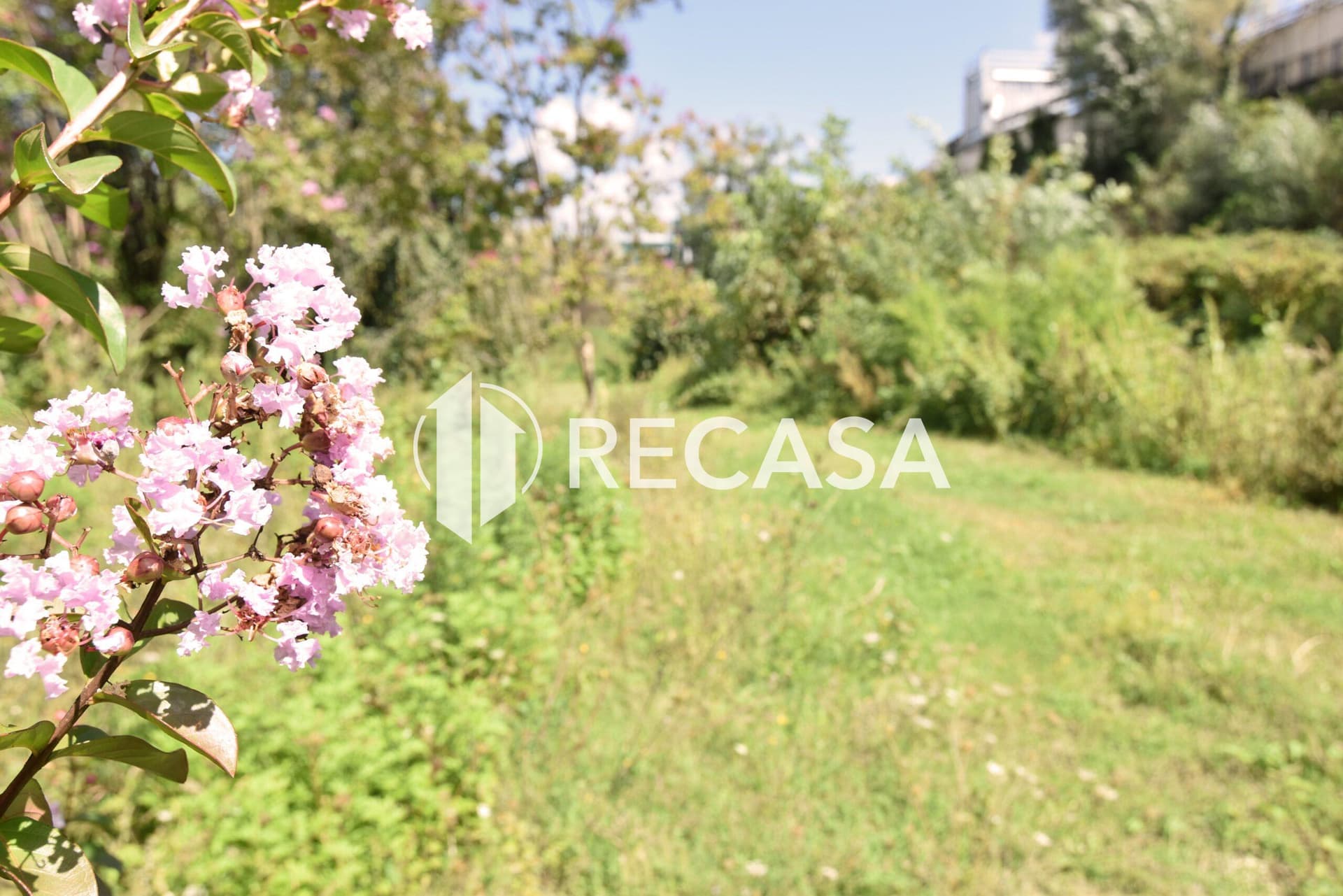 Vendita terreno agricolo con fabbricato interno Avellino - Foto 13