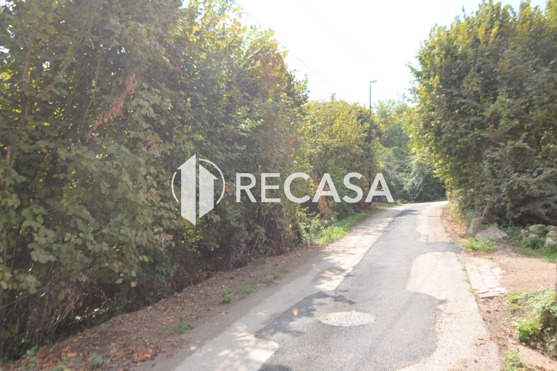 Vendita Terreno Agricolo Manocalzati - Foto 5