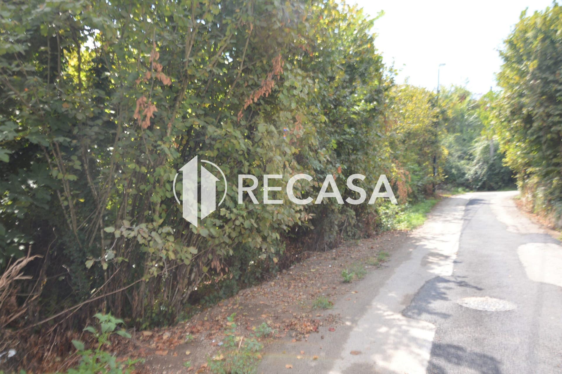 Vendita Terreno Agricolo Manocalzati - Foto 6