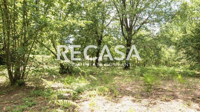 Vendita terreno agricolo San Potito Ultra - Foto 6