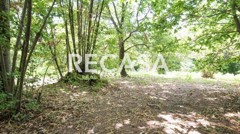 Vendita terreno agricolo San Potito Ultra - Foto 8