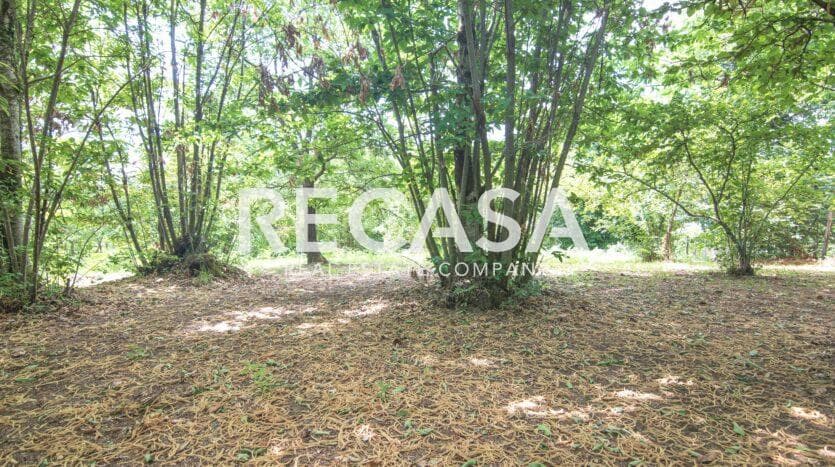 Vendita terreno agricolo San Potito Ultra - Foto 9